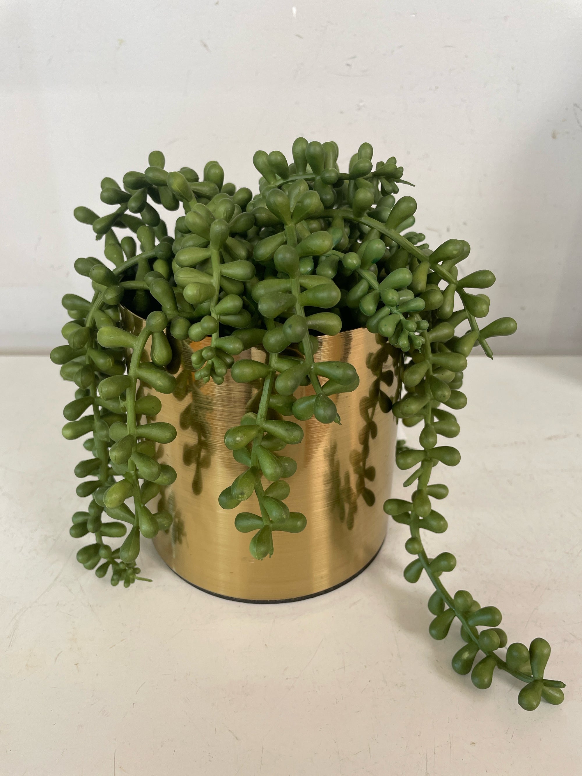 Greenery in Planter