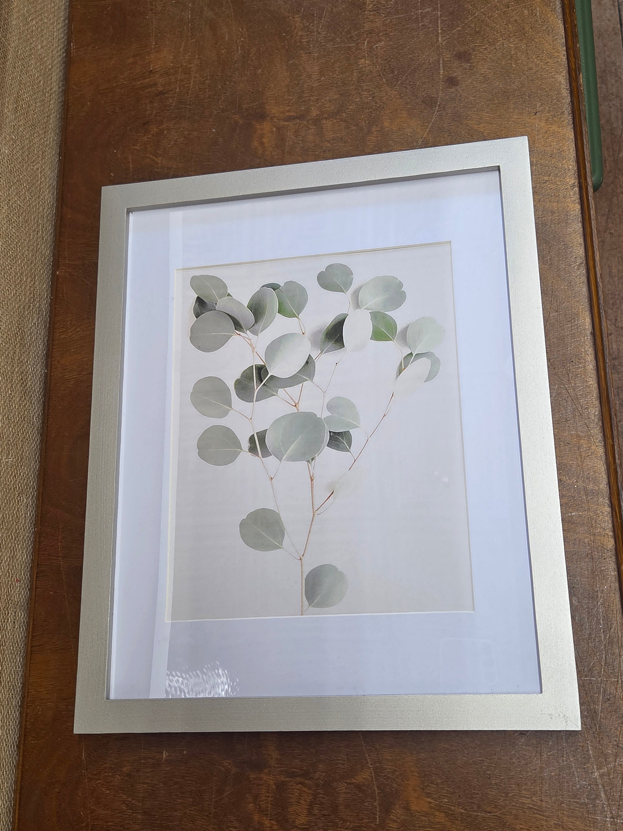 Framed Plant Artwork