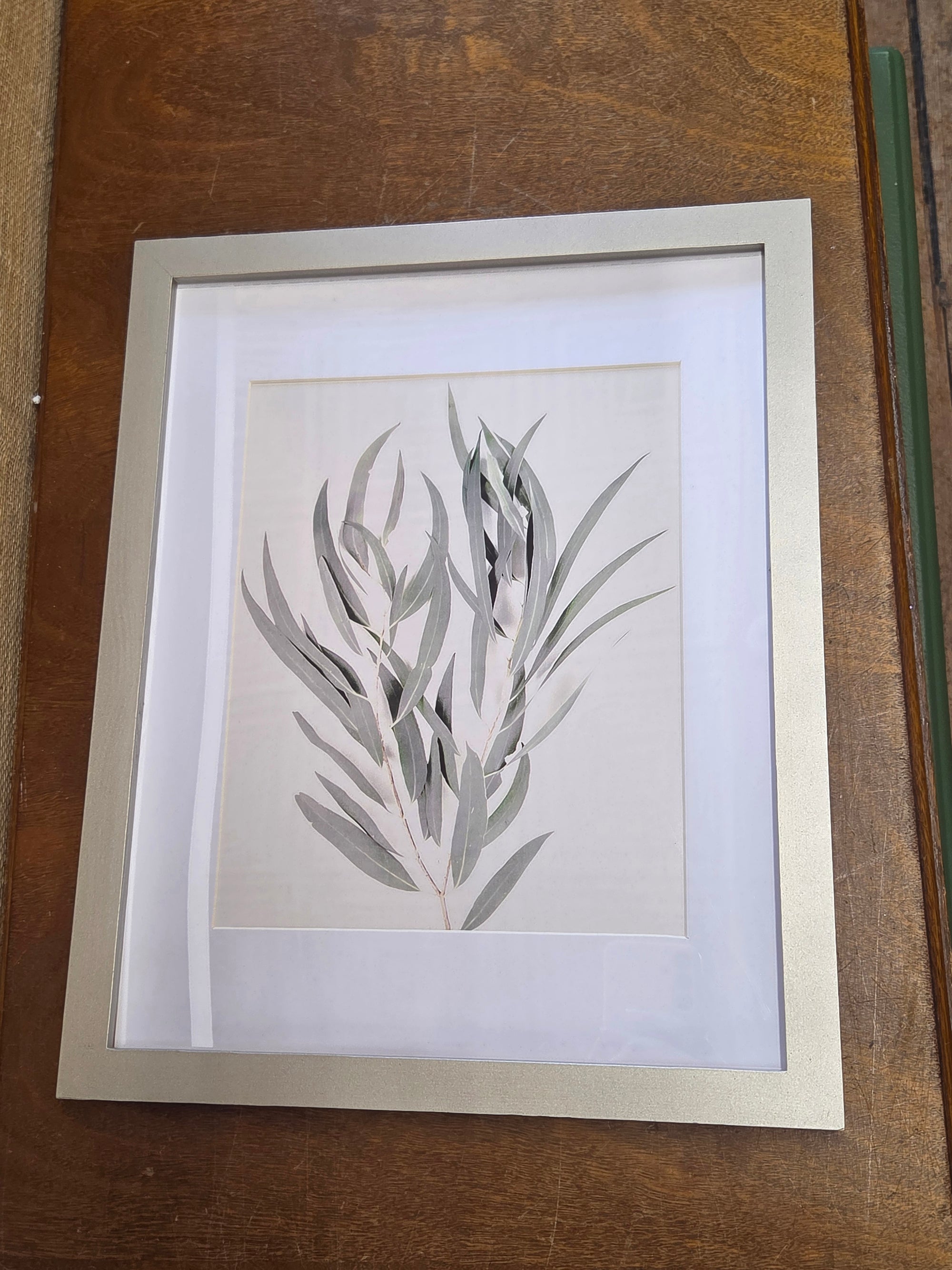 Framed Plant Artwork