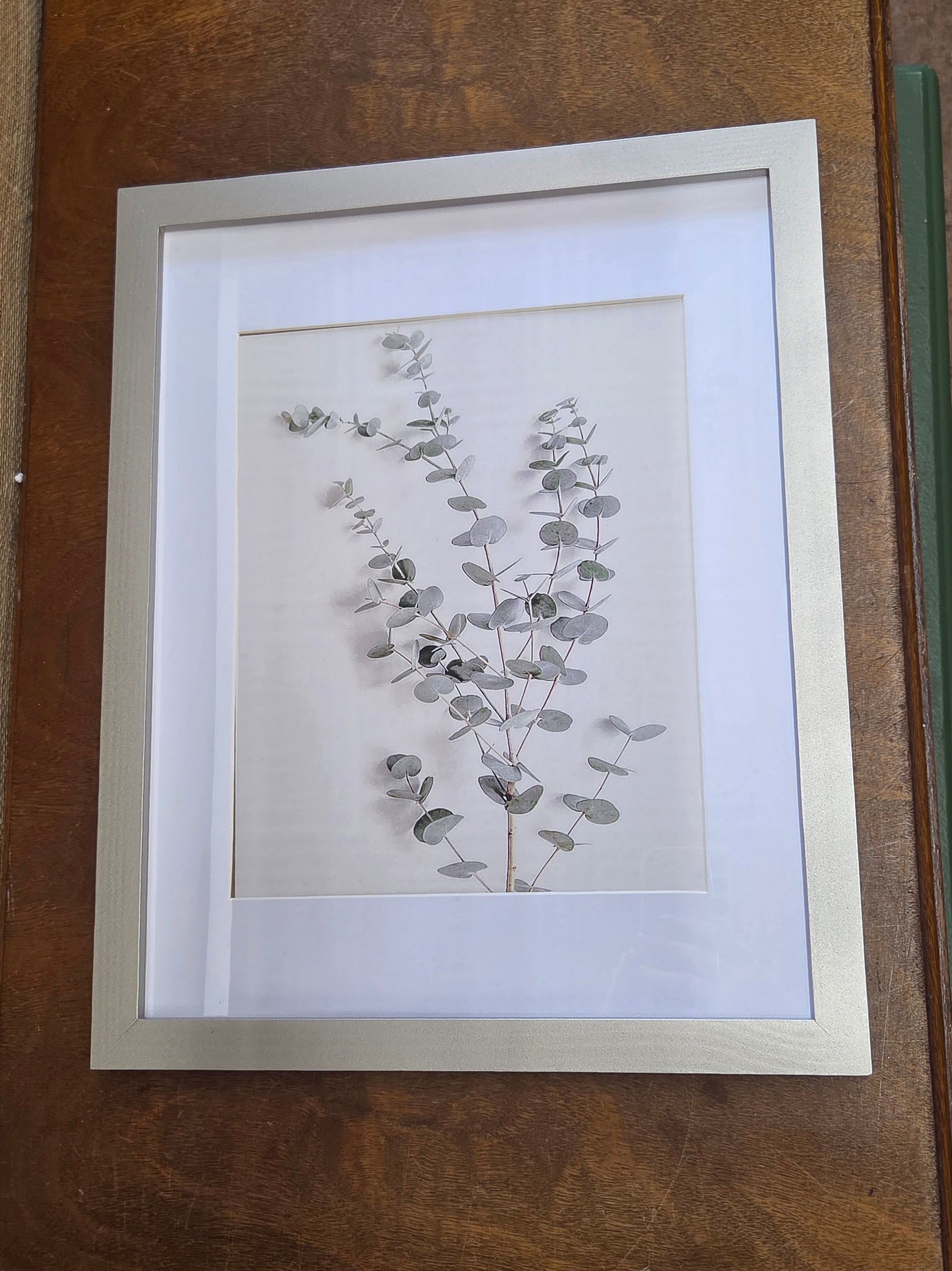 Framed Plant Artwork