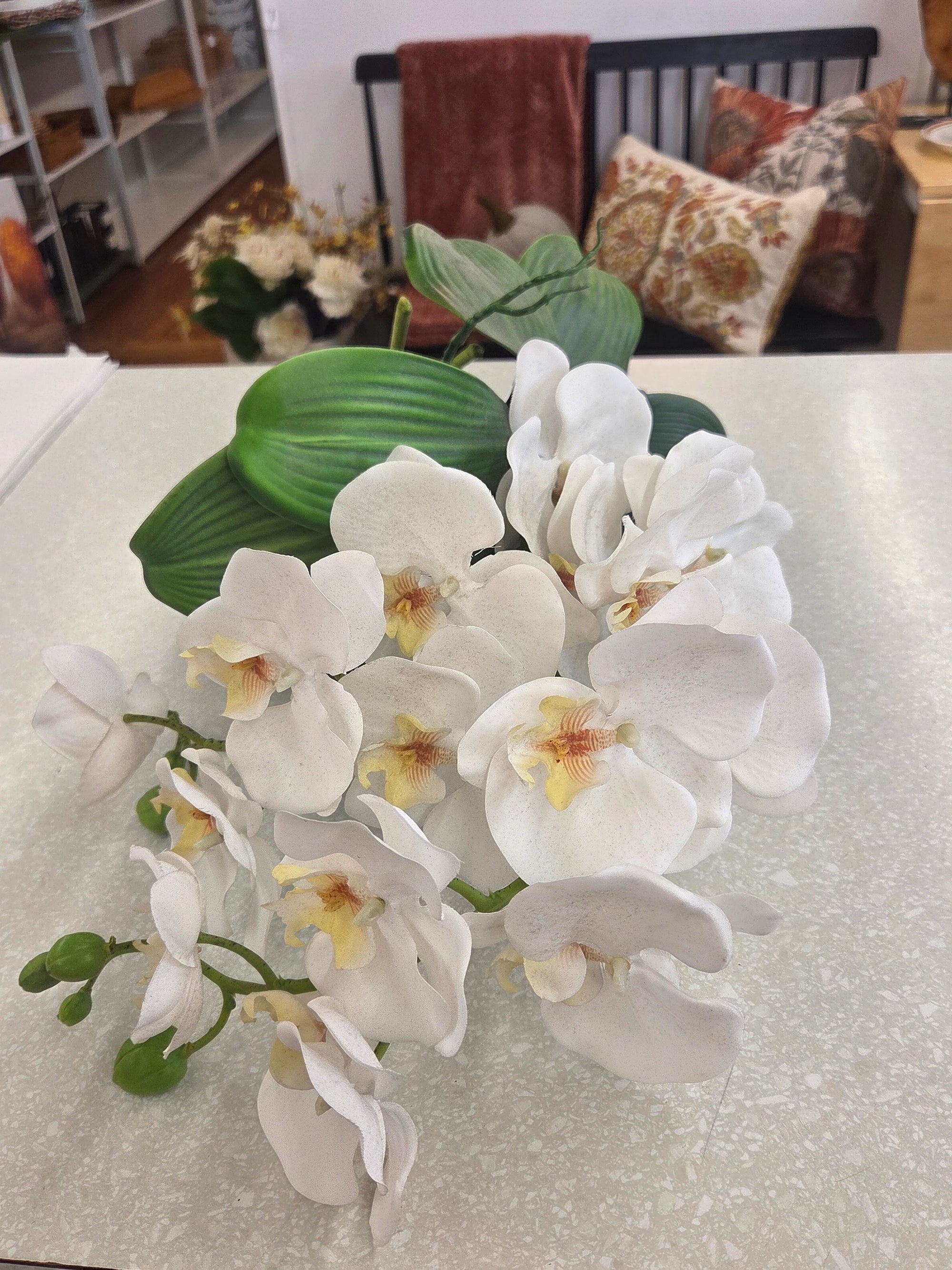 Orchids, 4 Stems