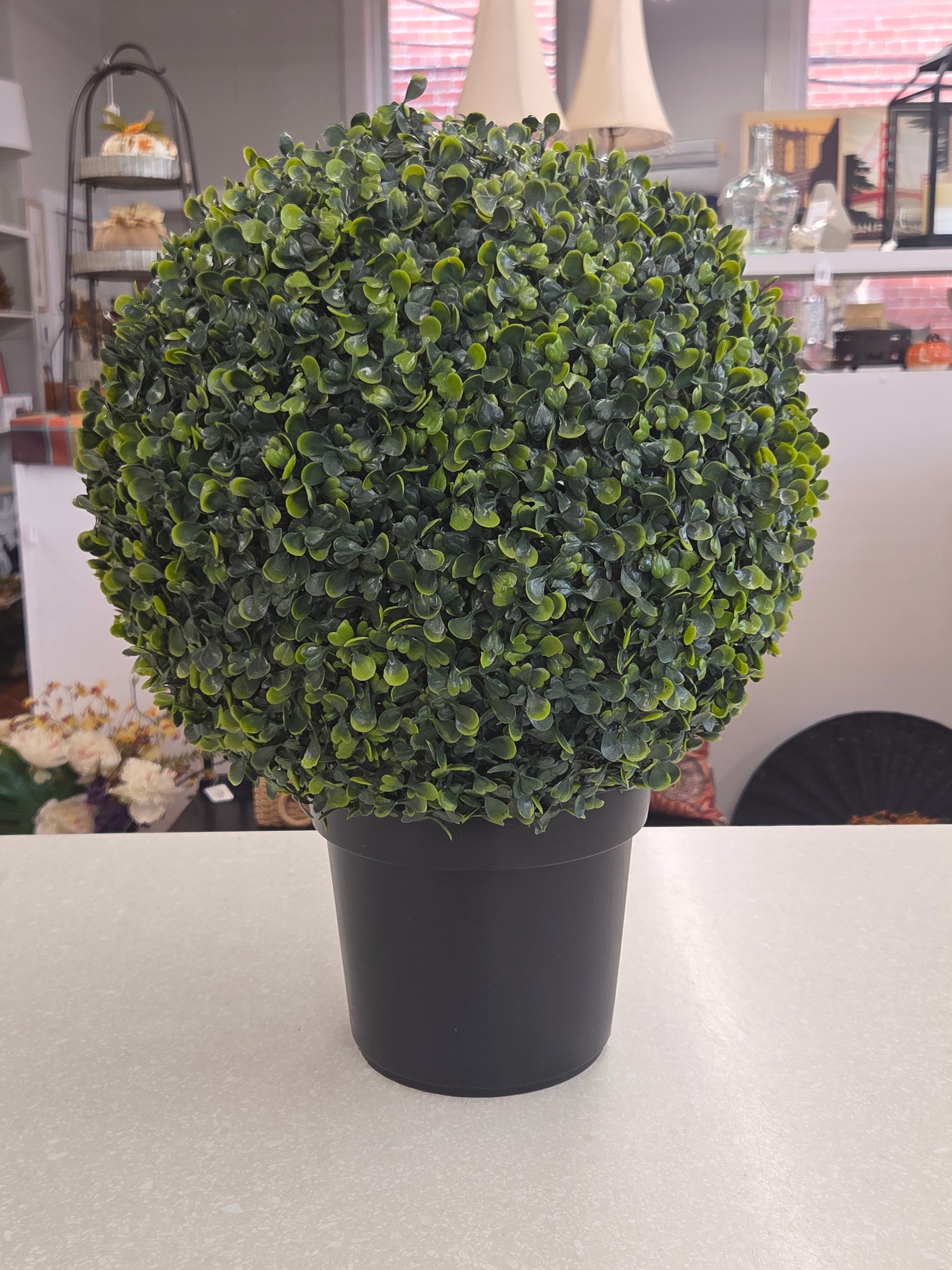 Green  Greenery