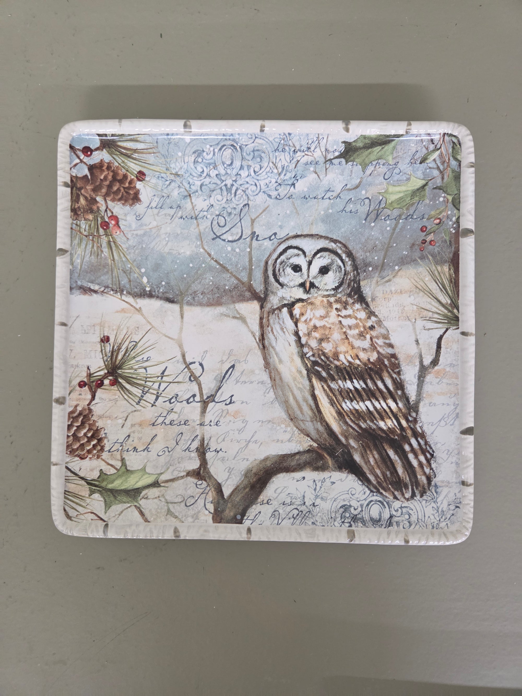 Winter Owl Plate