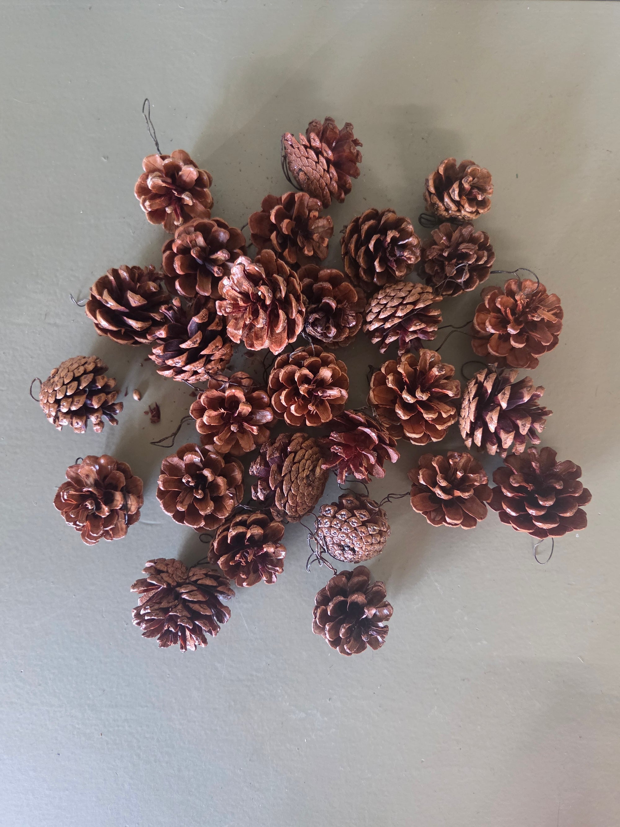 Pine Cones, 28 pc set