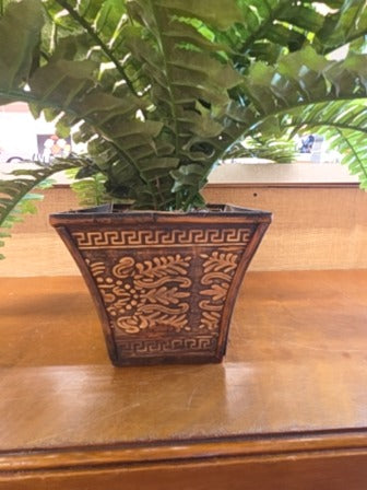 Fern in pot