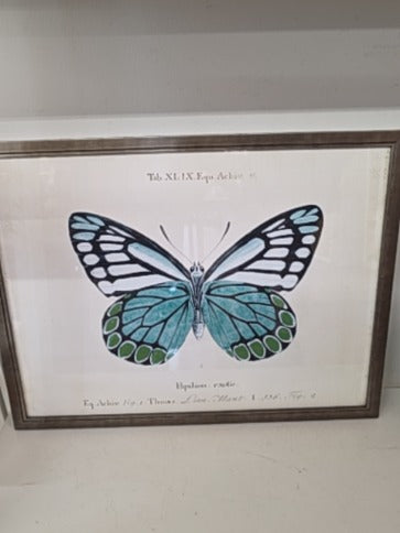 Framed Artwork, 19" x 25"