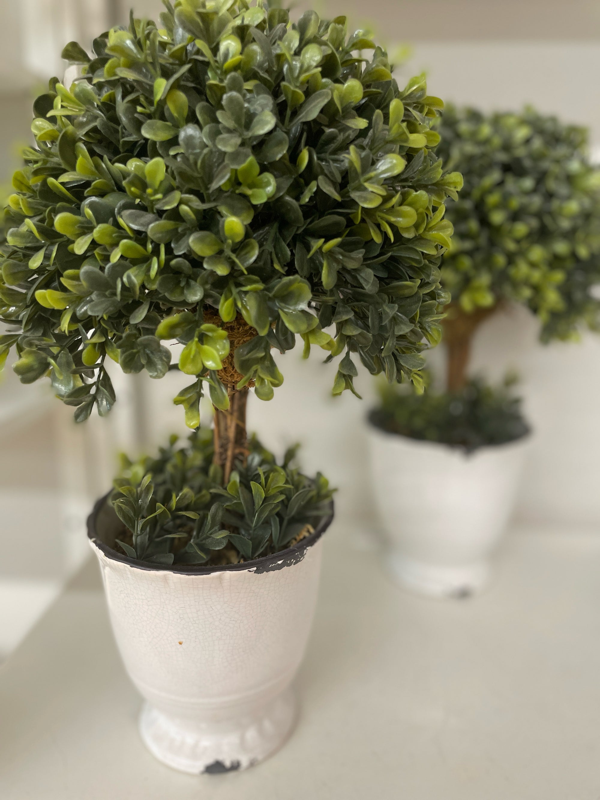 Topiary