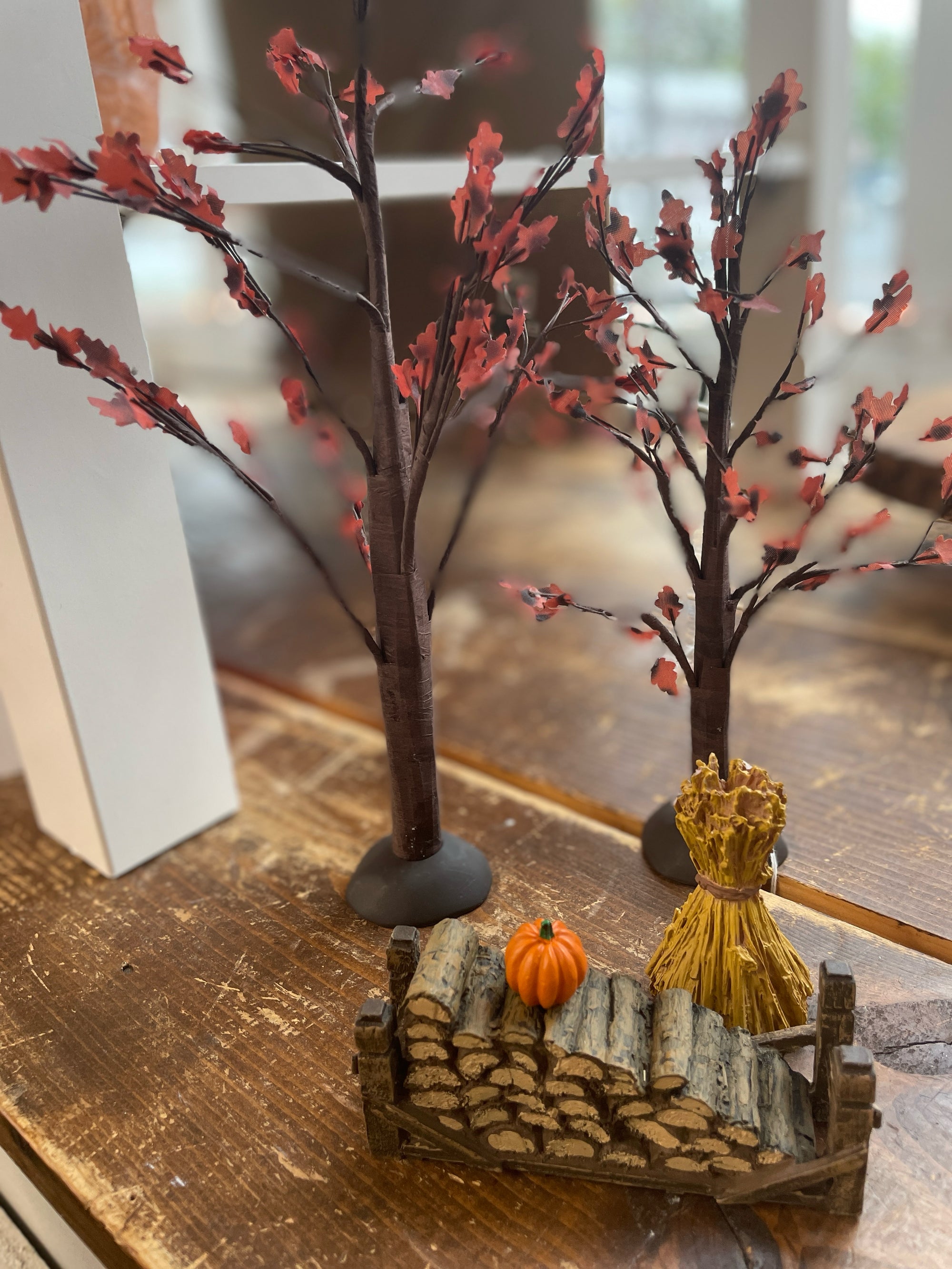 Dept. 56 Village Accessories