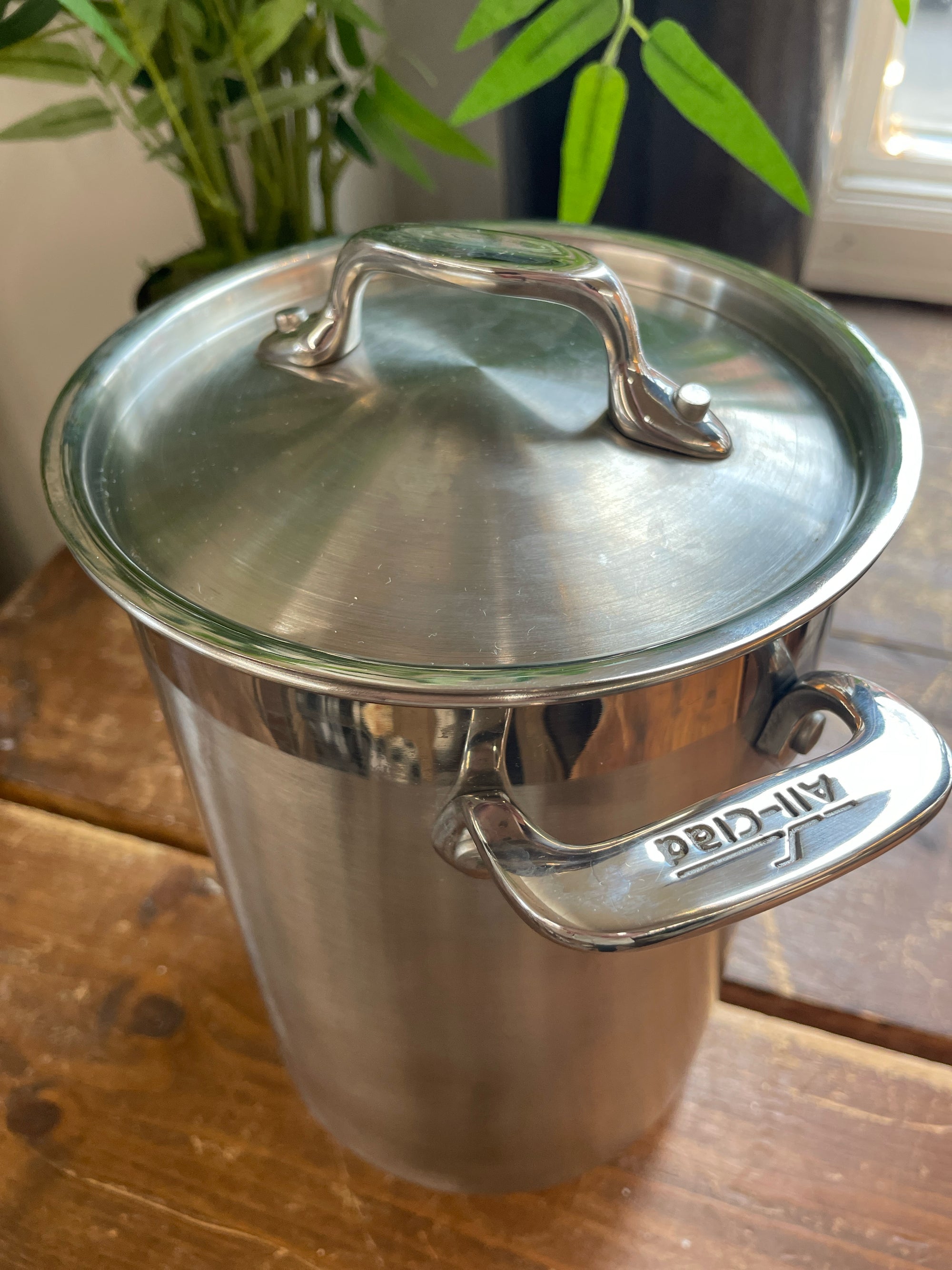 Steamer w/ Rack & Lid