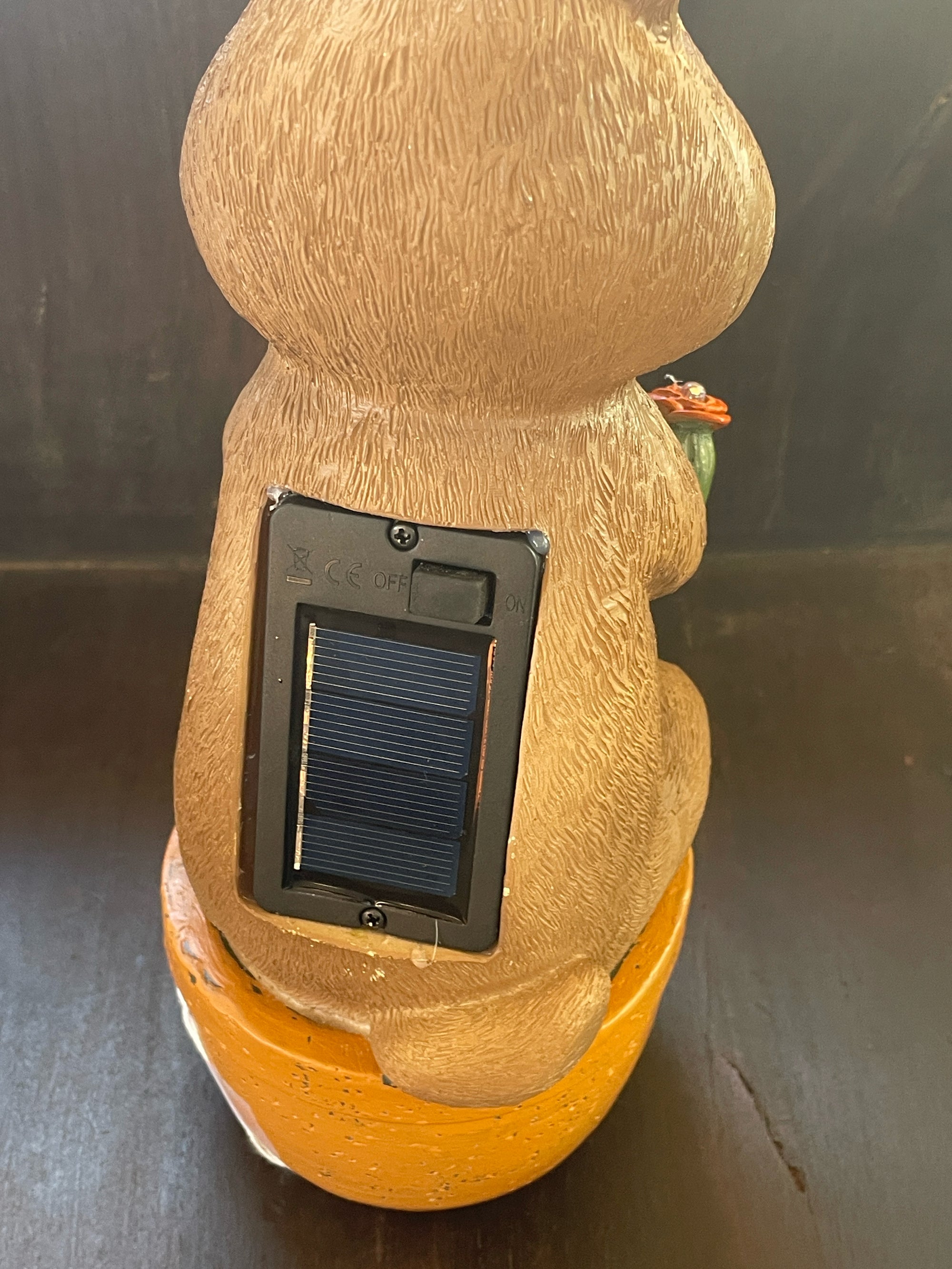 Solar Groundhog
