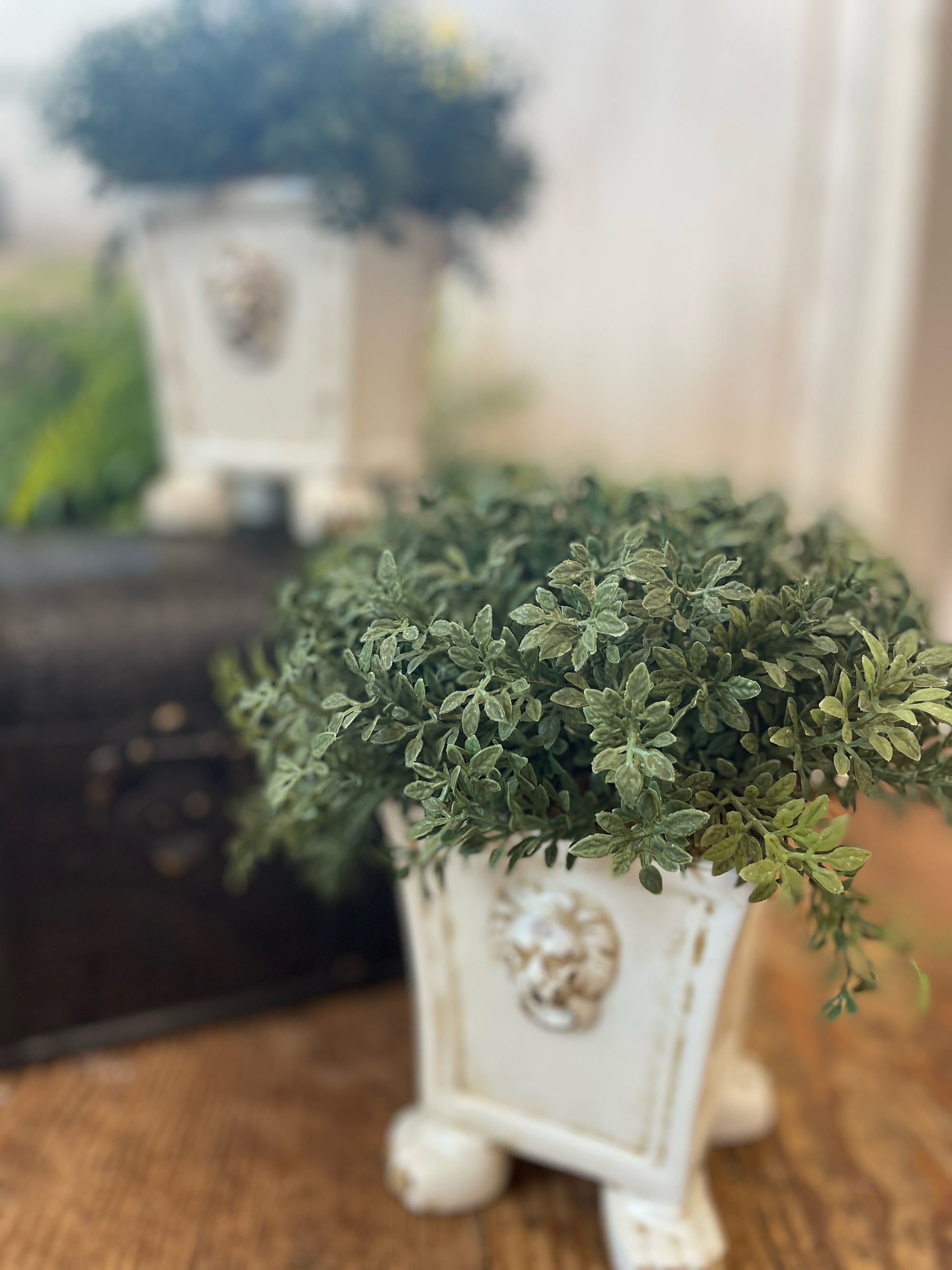 Greenery in Planter