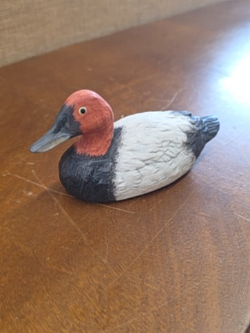 Redhead  Little Duck