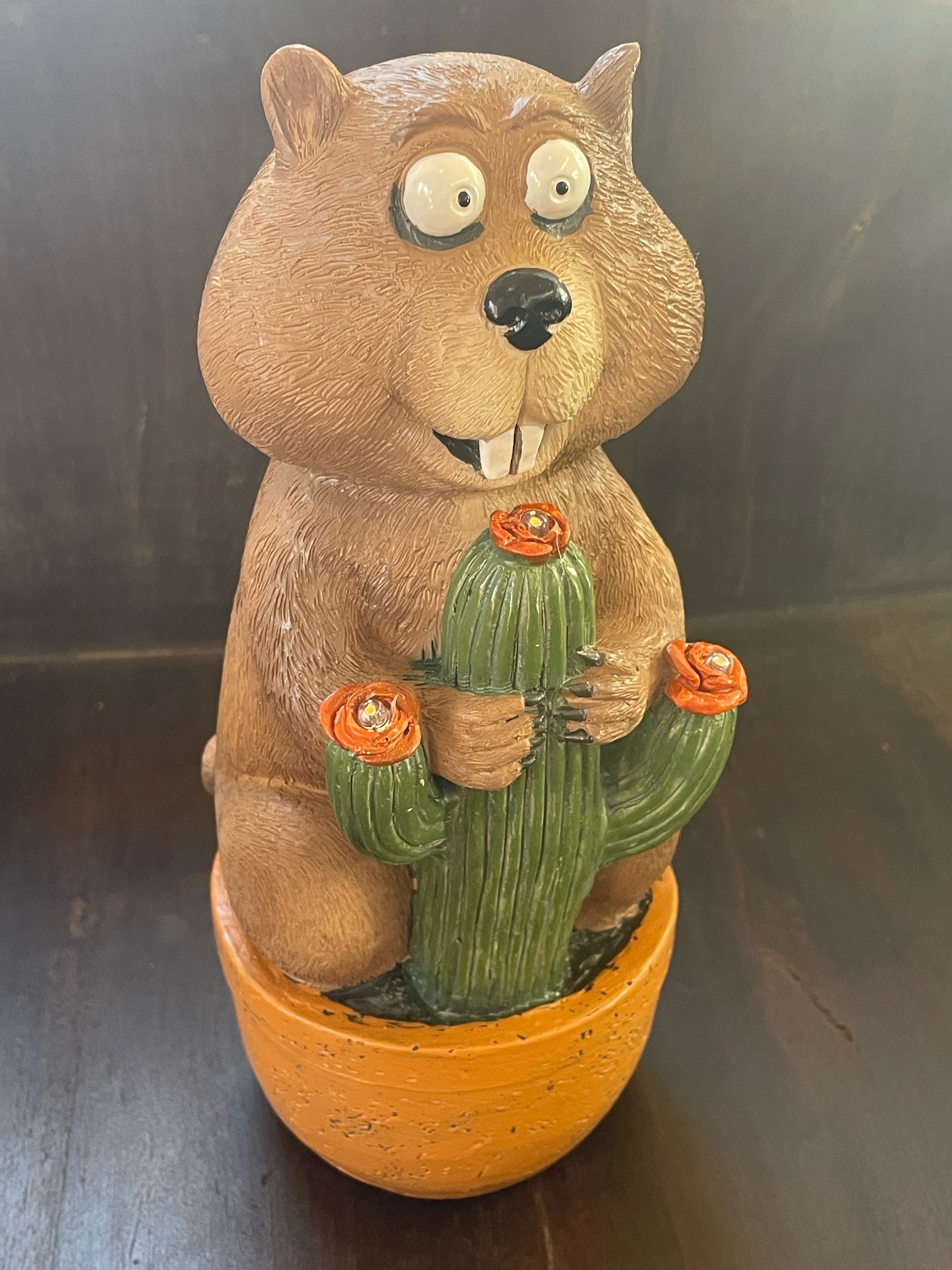 Solar Groundhog