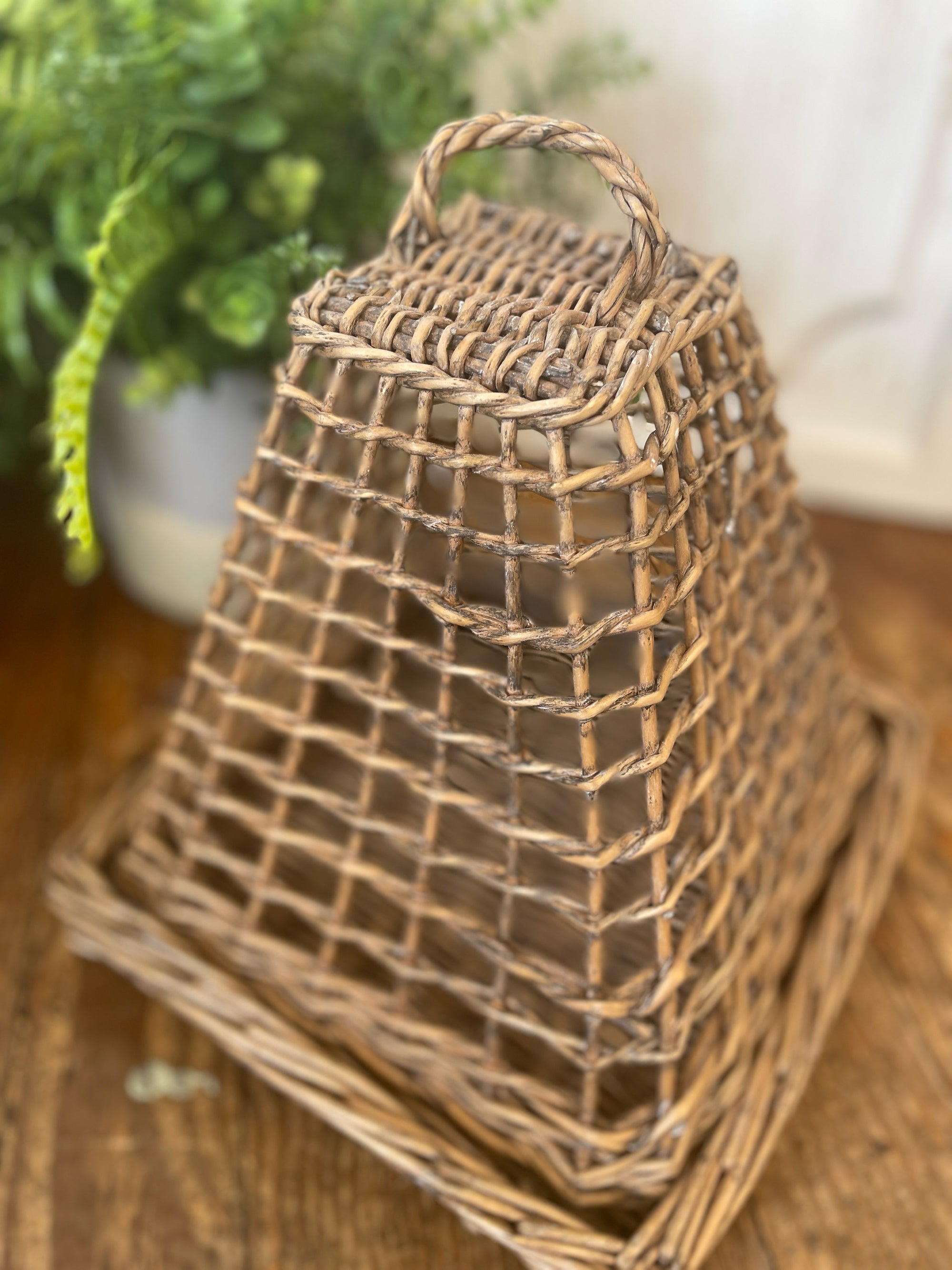 Dome and Base