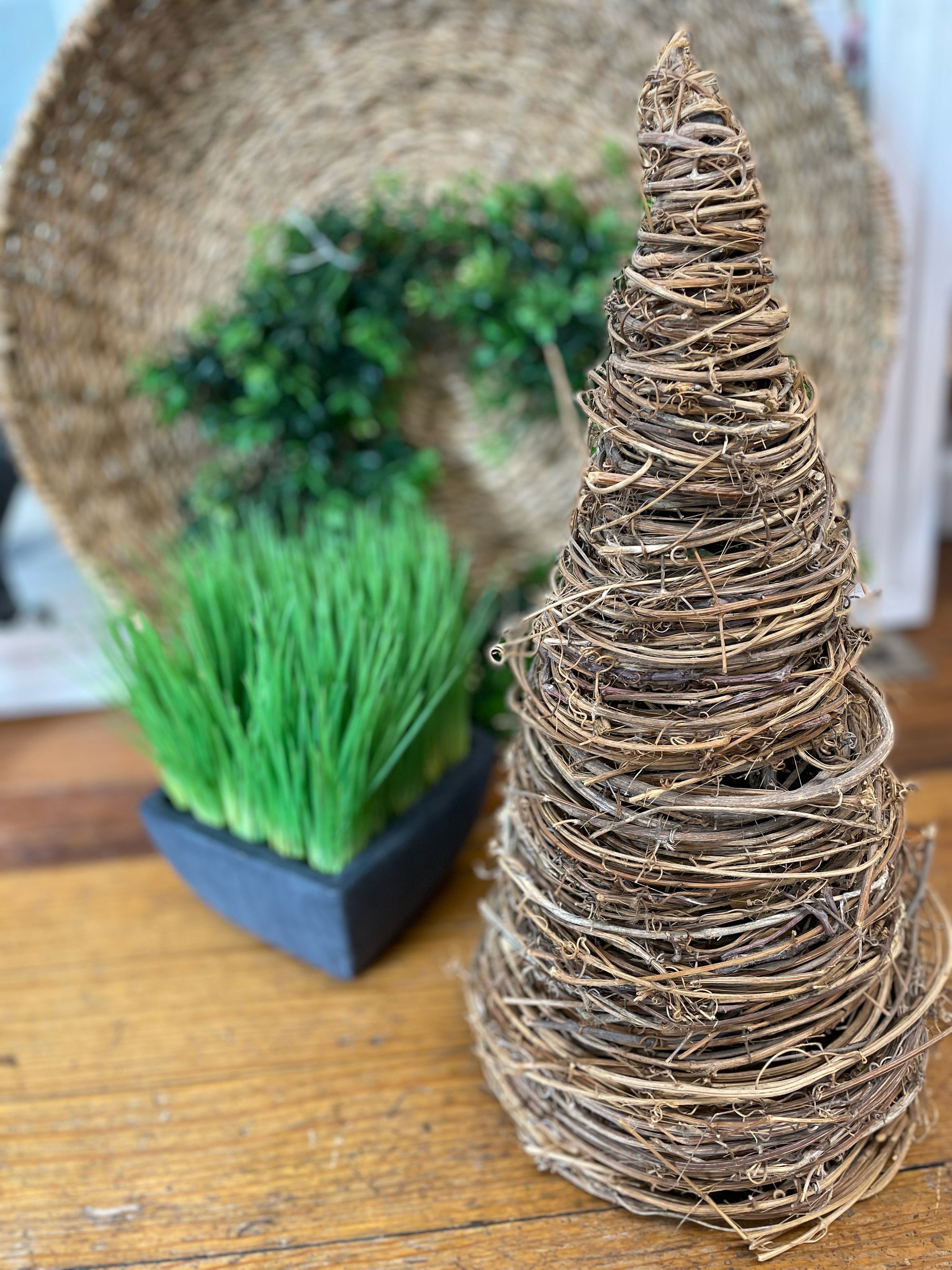 Cone Tree