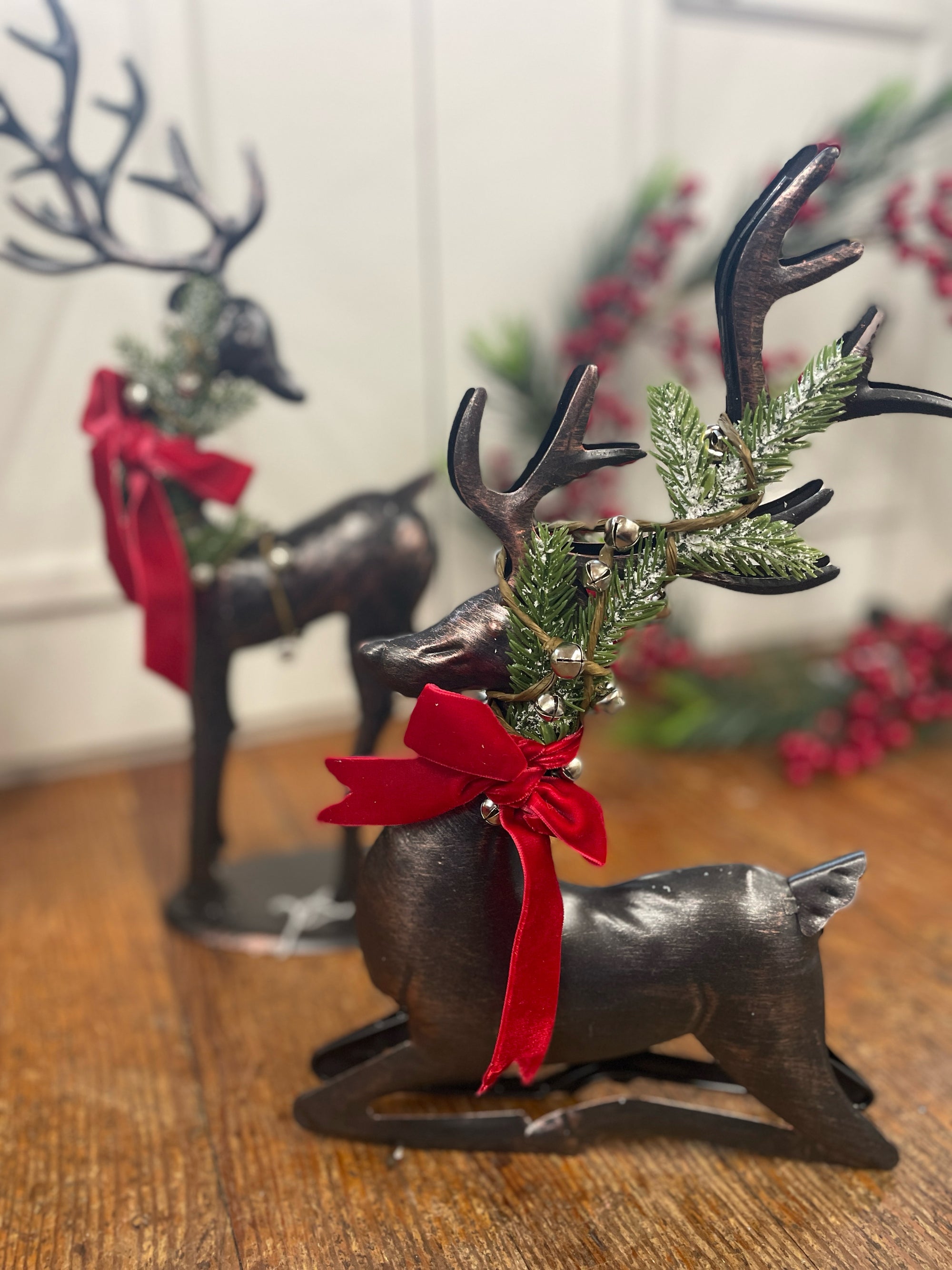 Reindeer