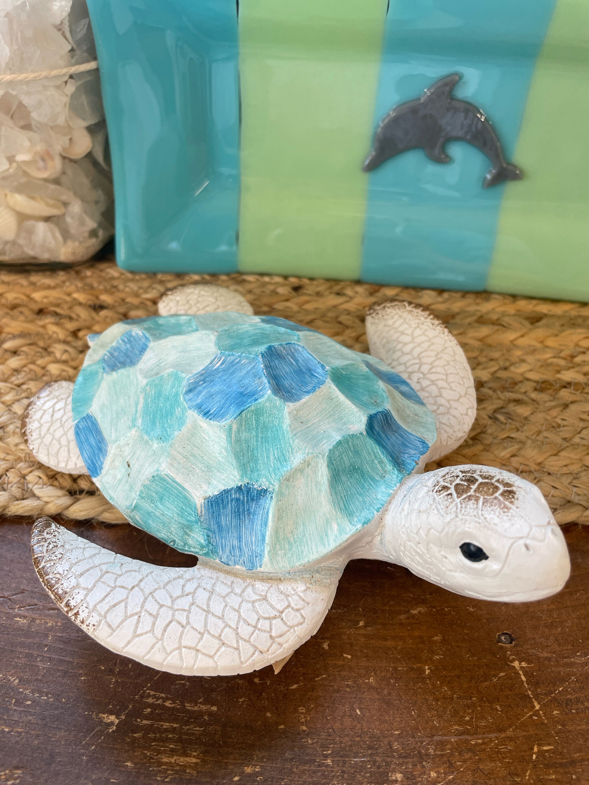 Sea Turtle