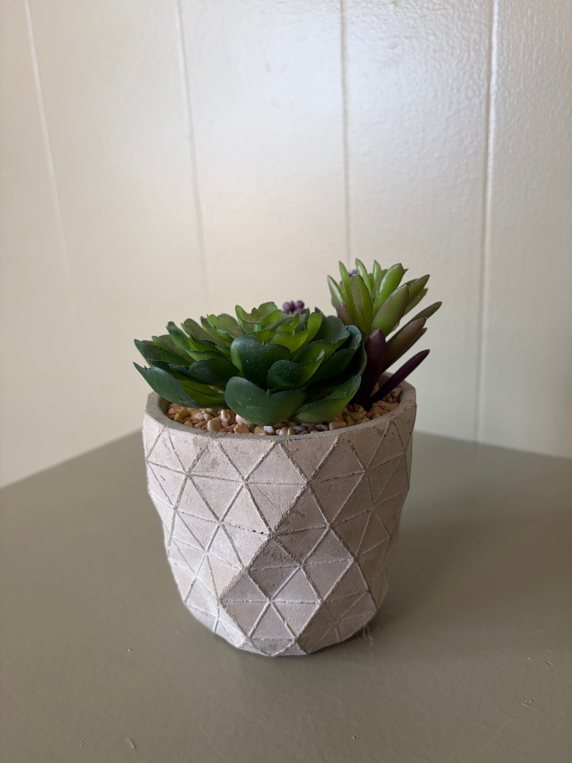 Faux Succulent Plant