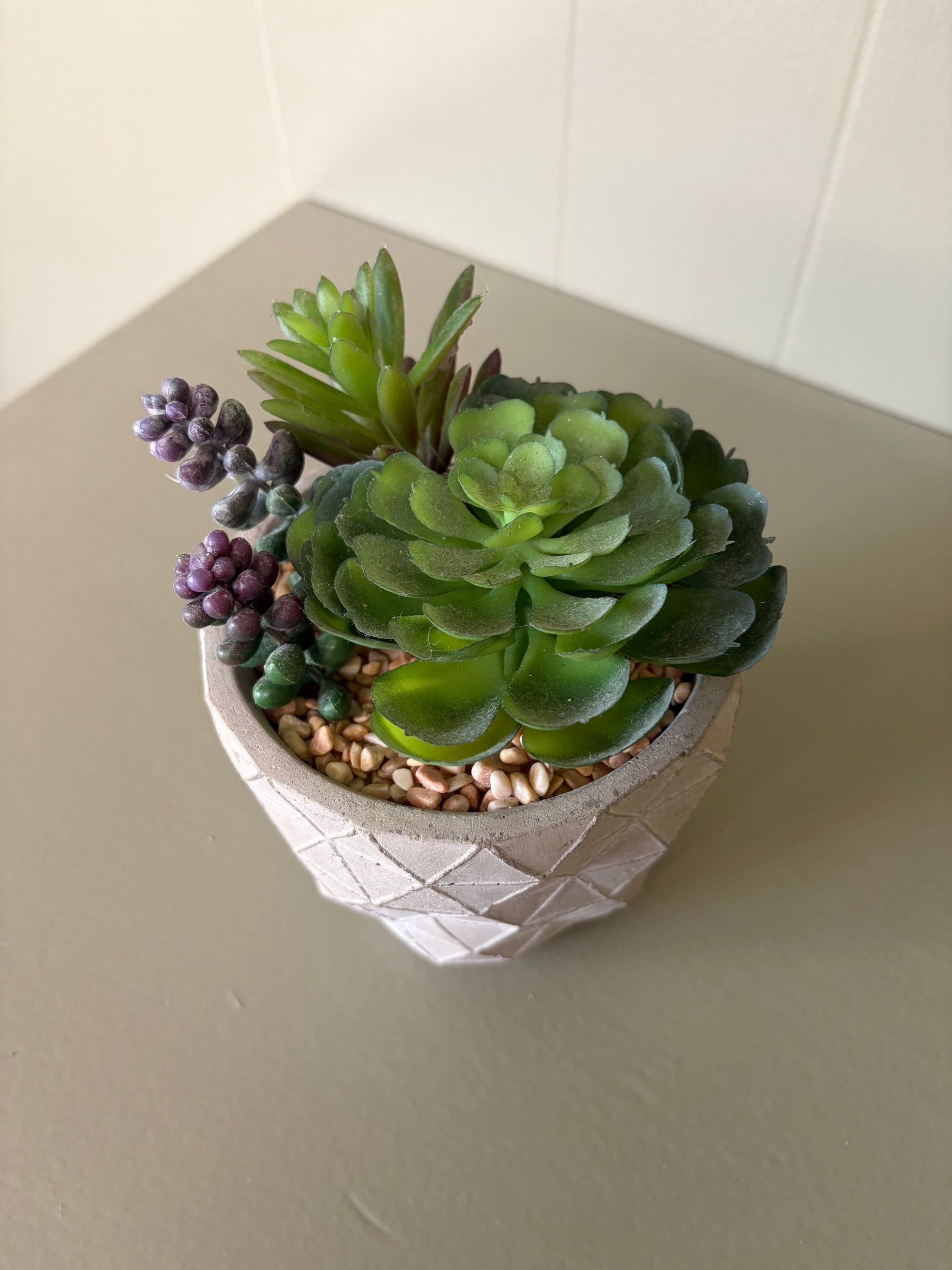 Faux Succulent Plant