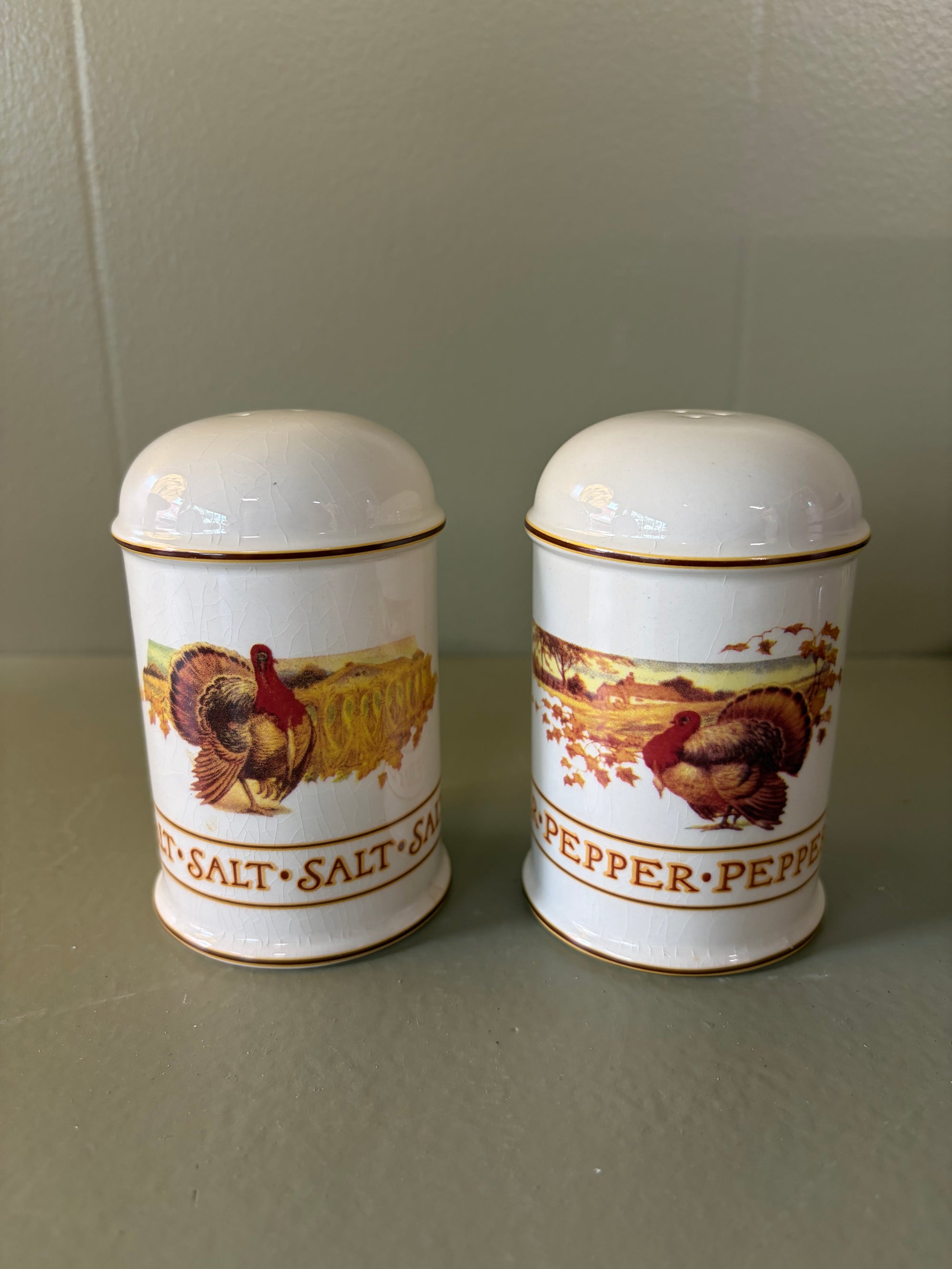 Turkey  Salt and Pepper Shaker, Set of 2