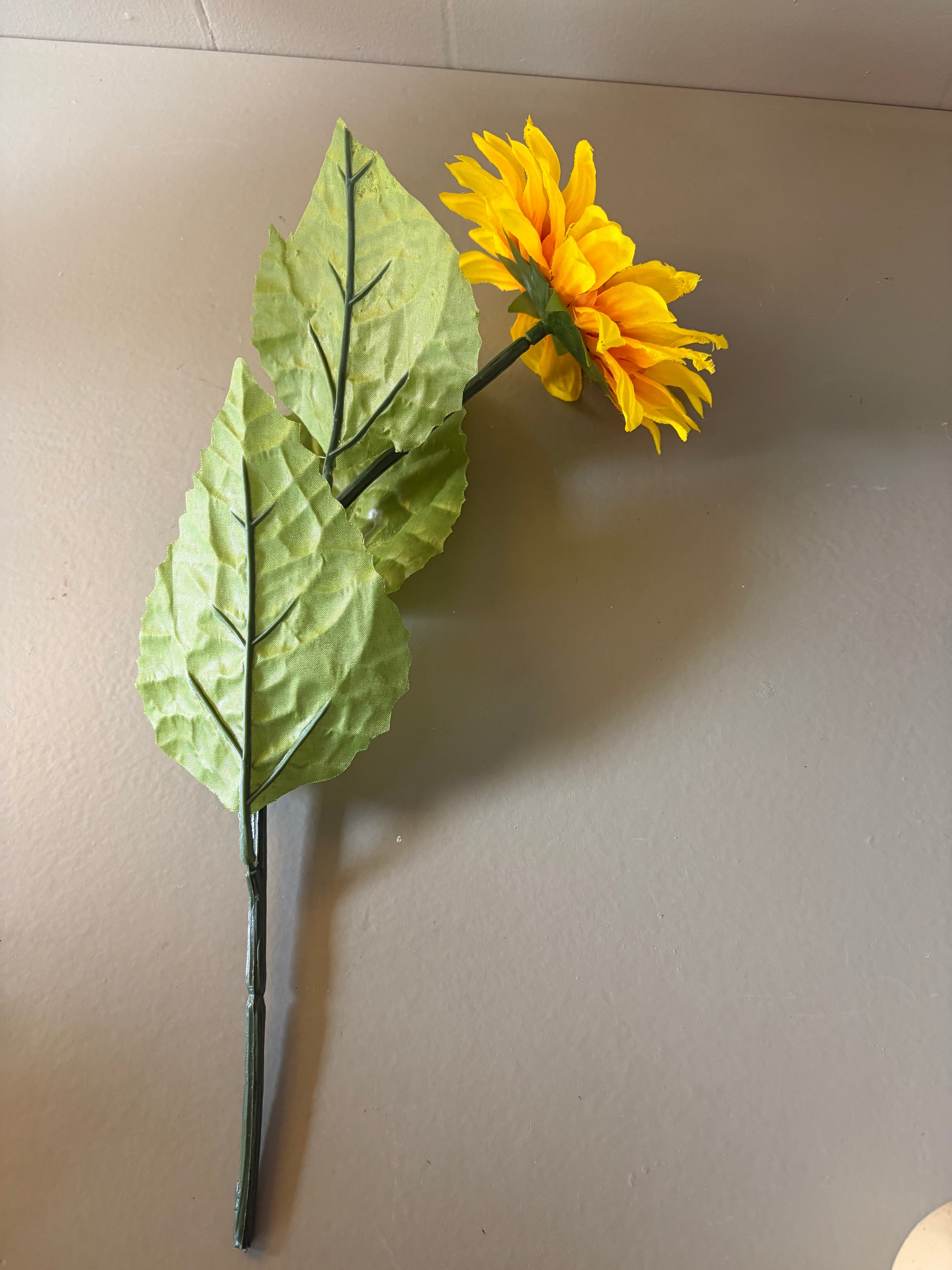Sunflower Stem
