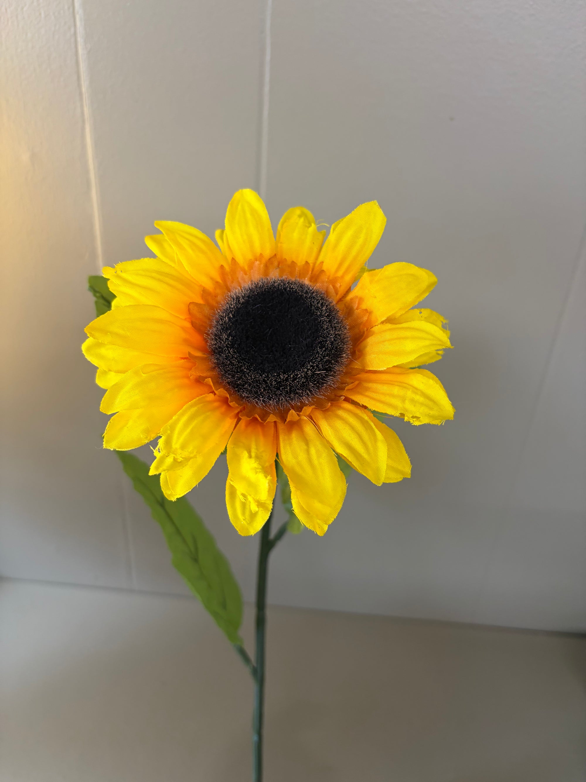 Sunflower Stem
