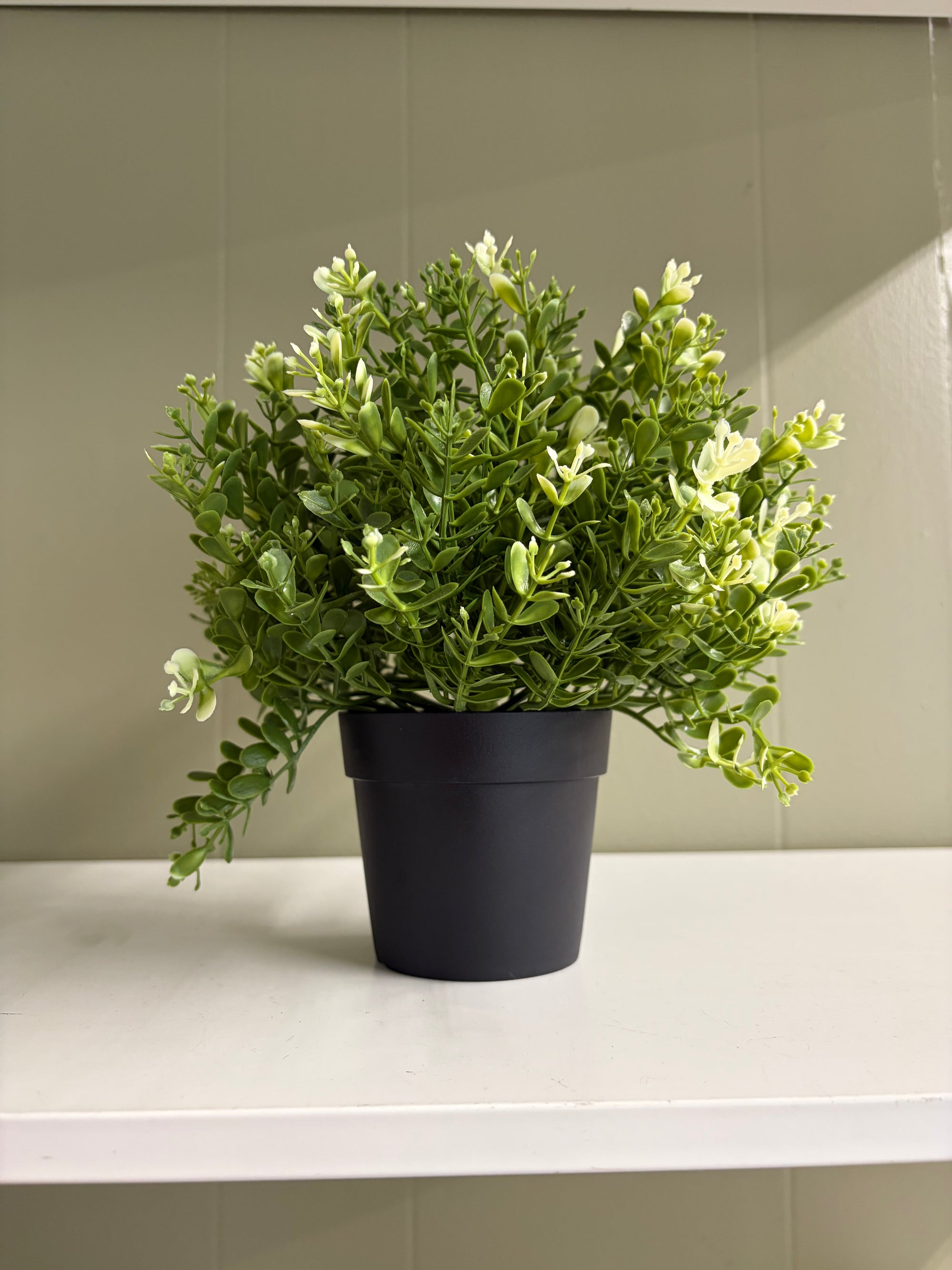 Faux Plant