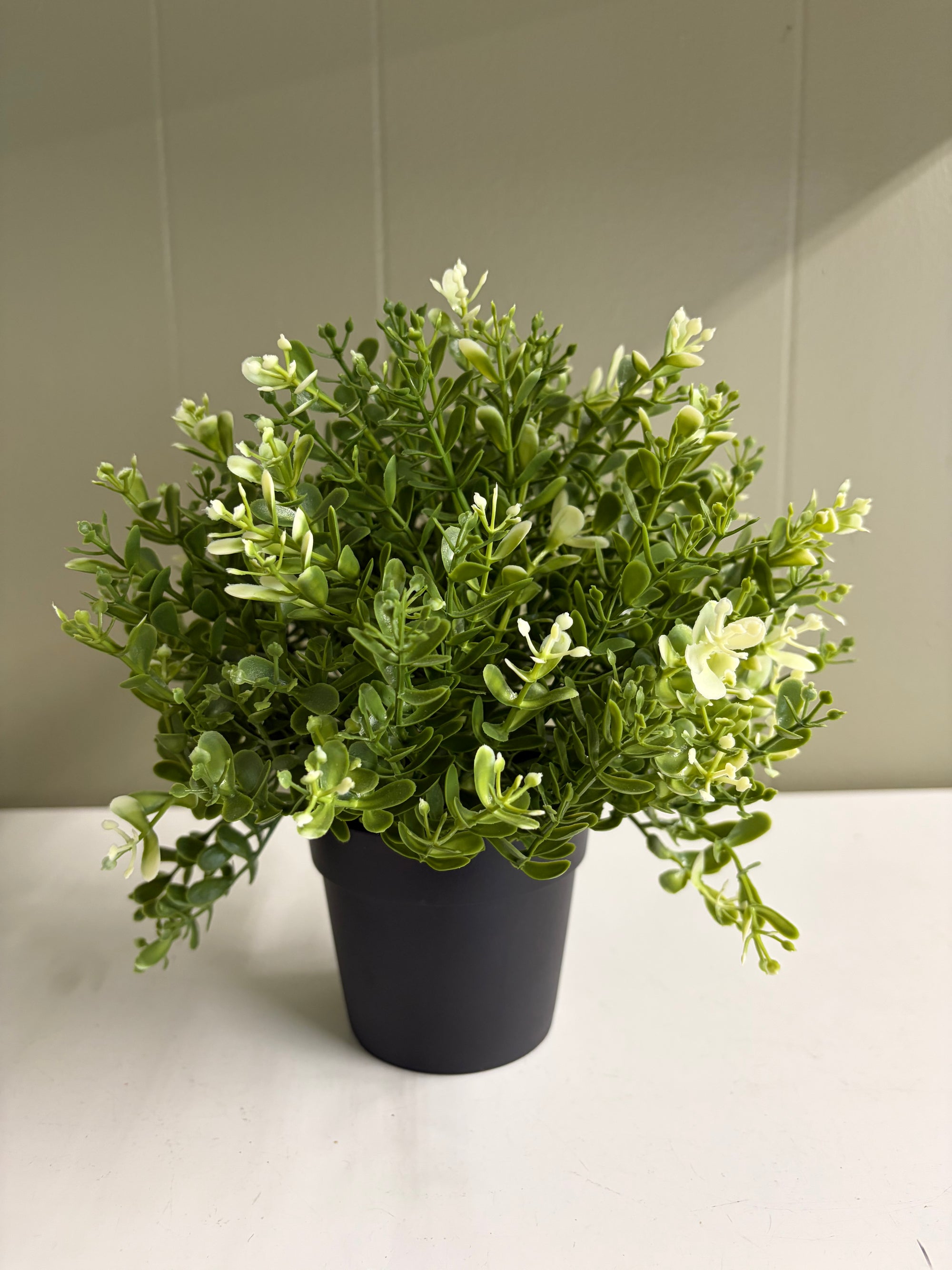 Faux Plant
