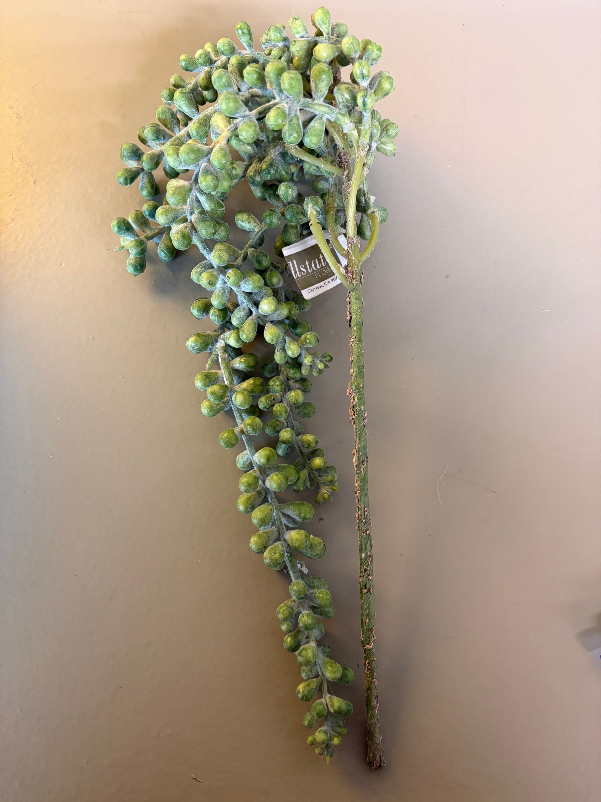 Faux Plant Steam