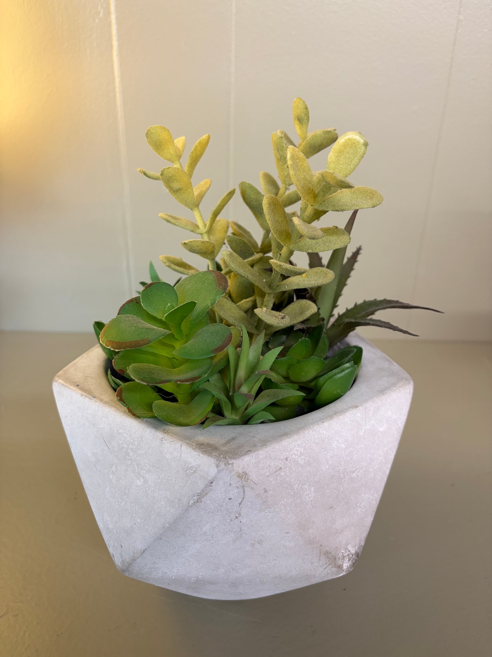 Faux Succulent Plant