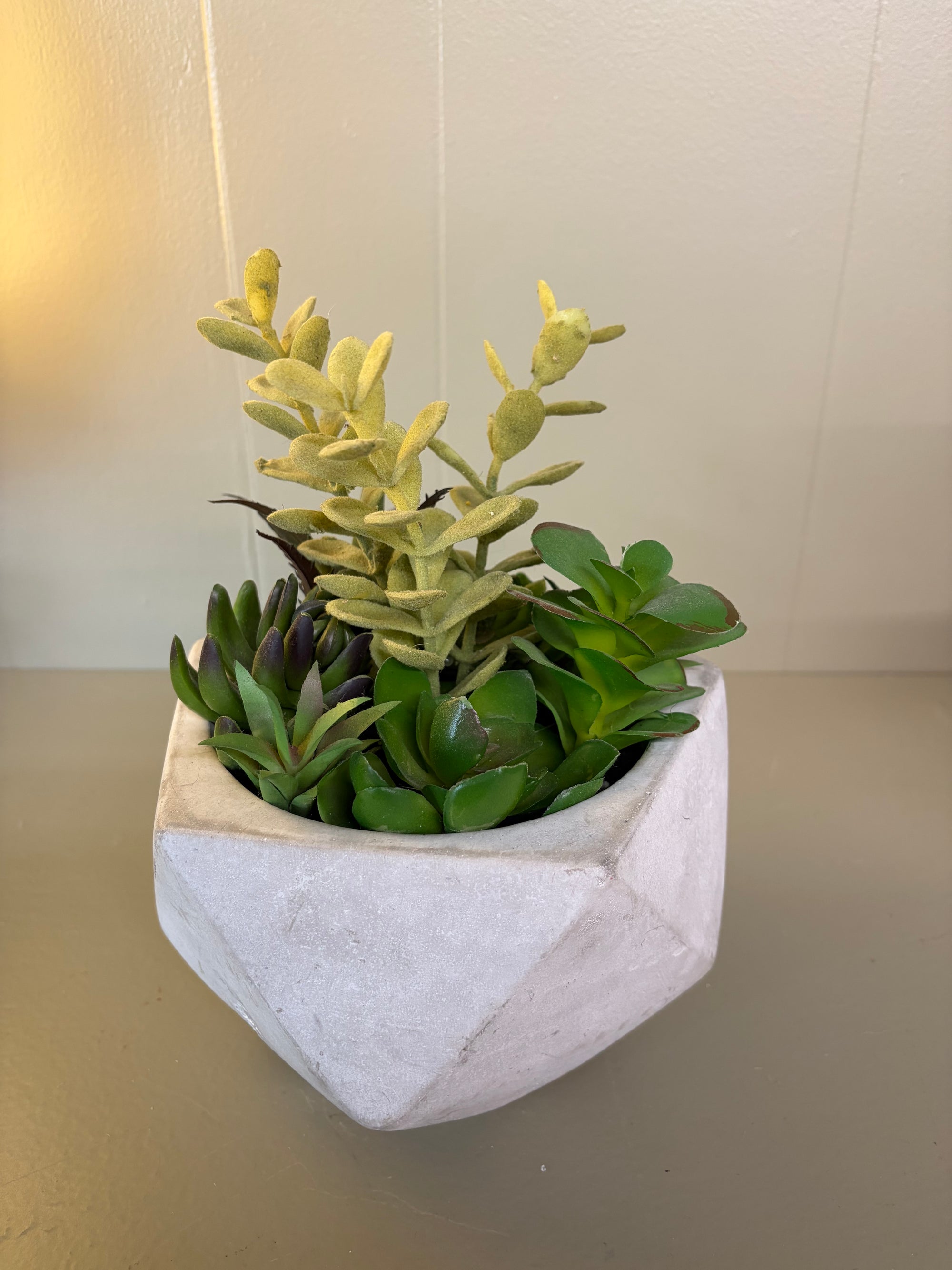 Faux Succulent Plant