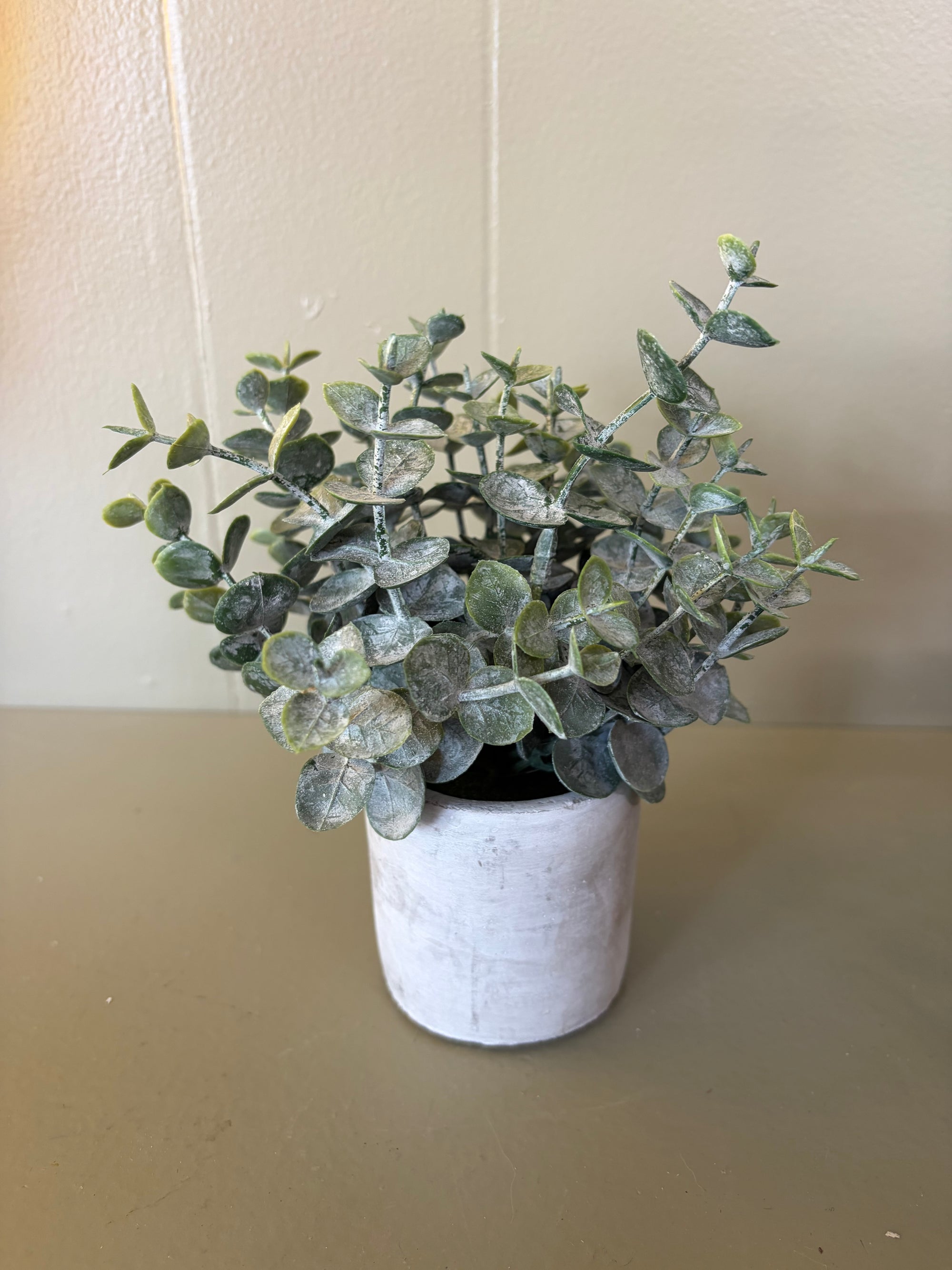 Faux Plant