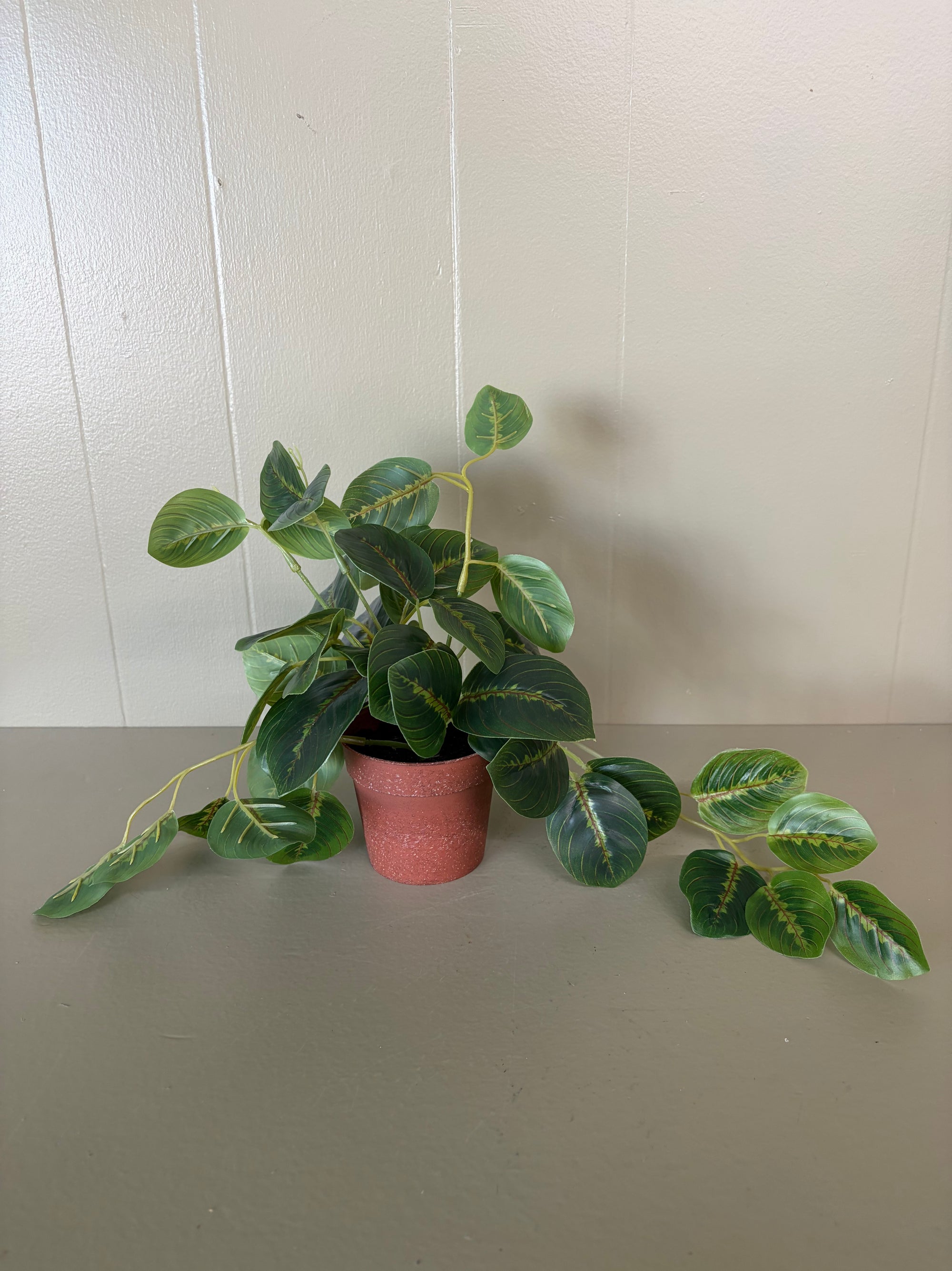 Faux Plant