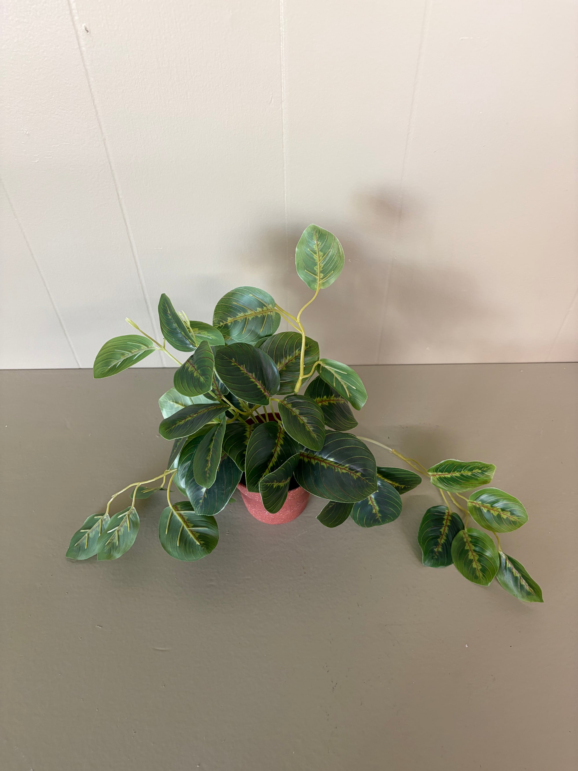 Faux Plant