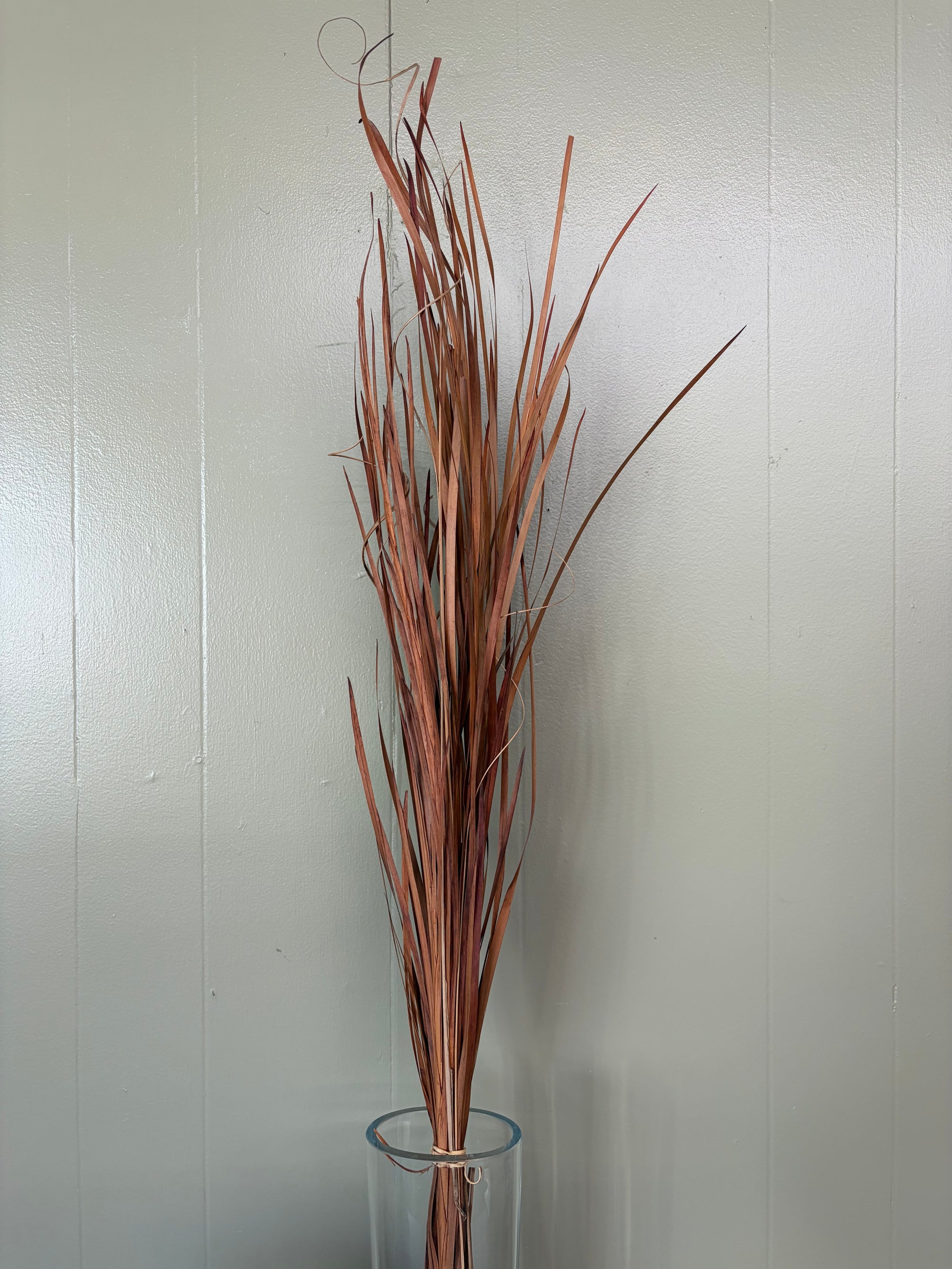 Brown Grass