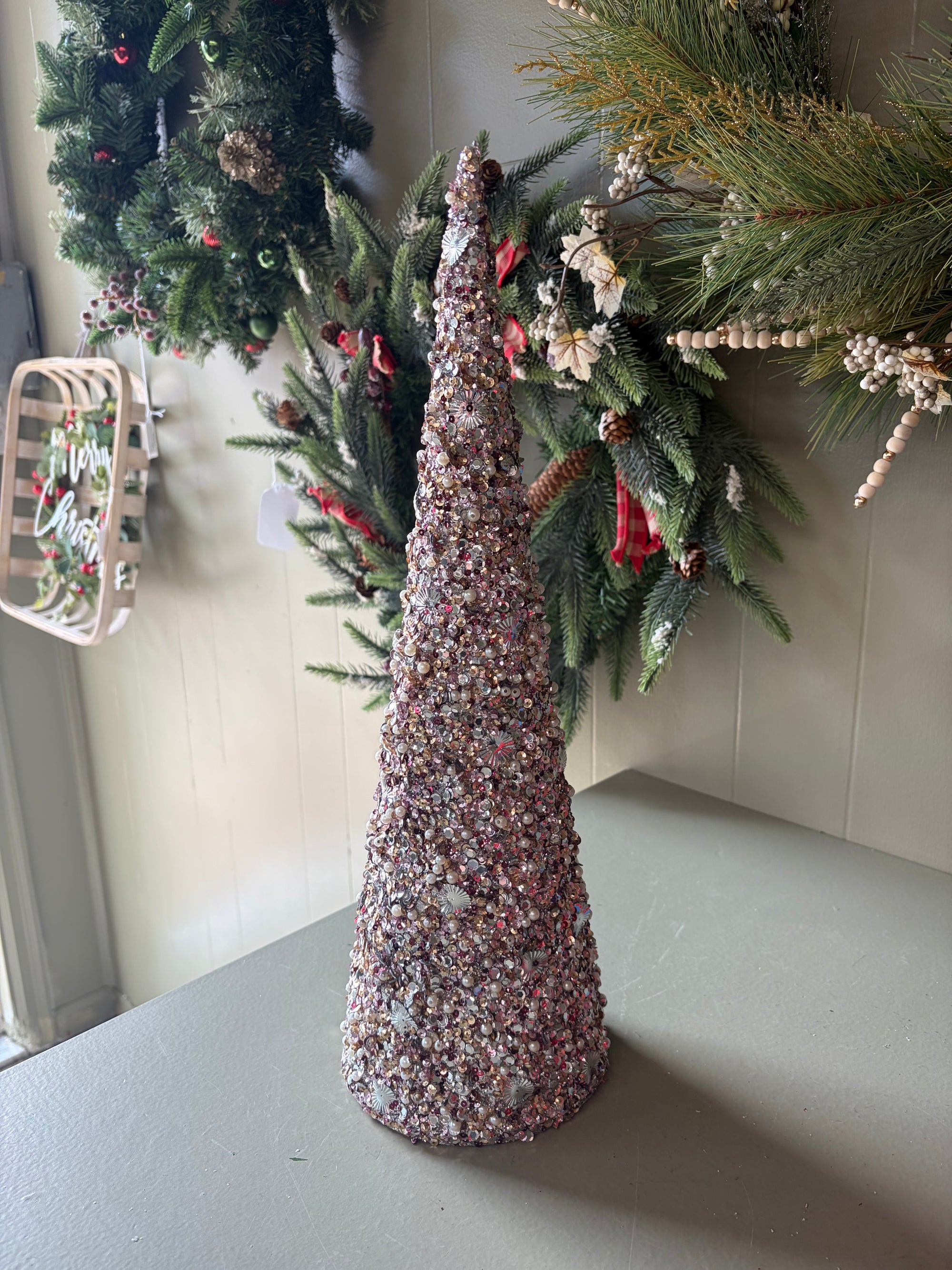 Silver  Cone Tree