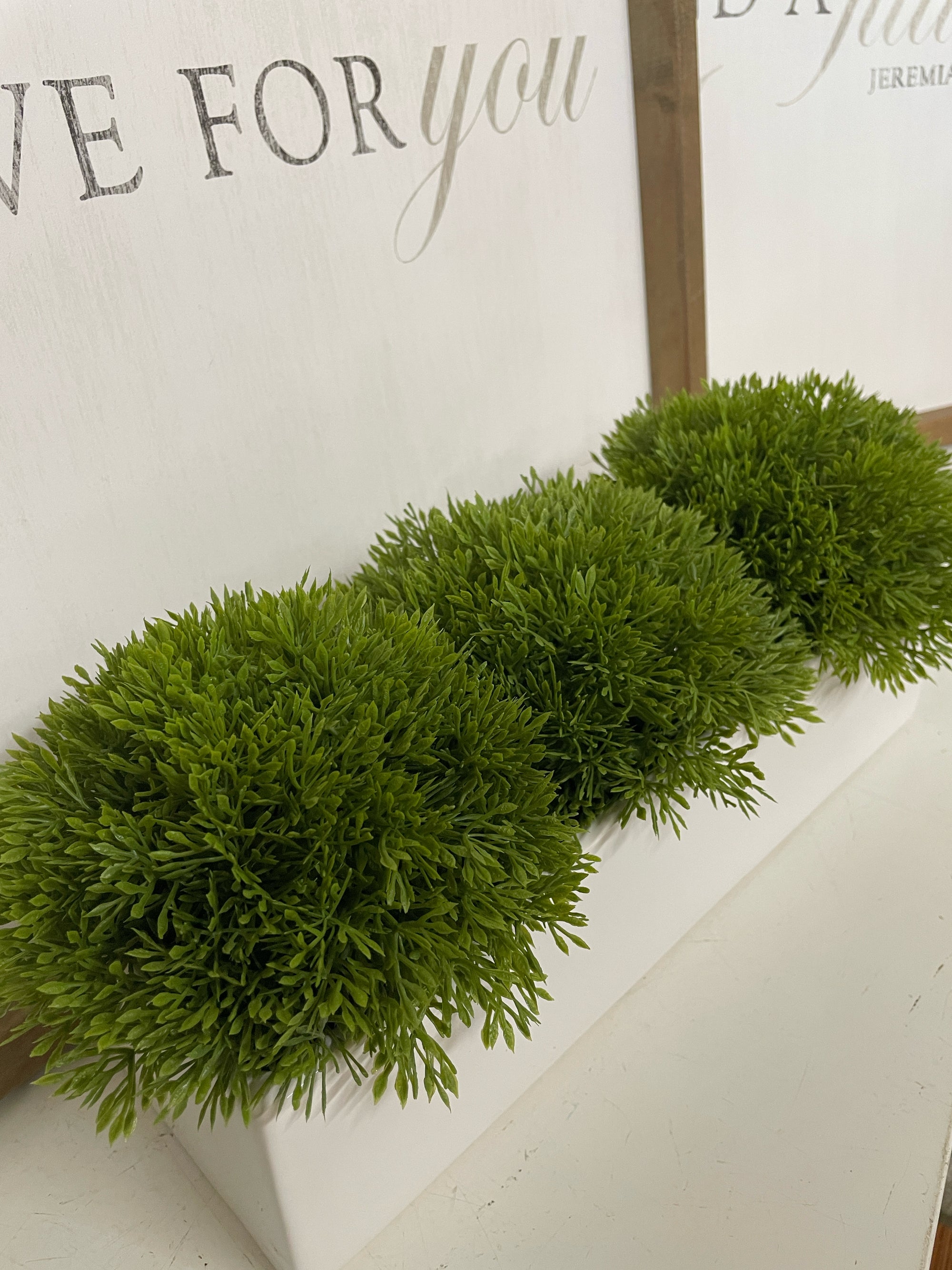 Greenery in Planter