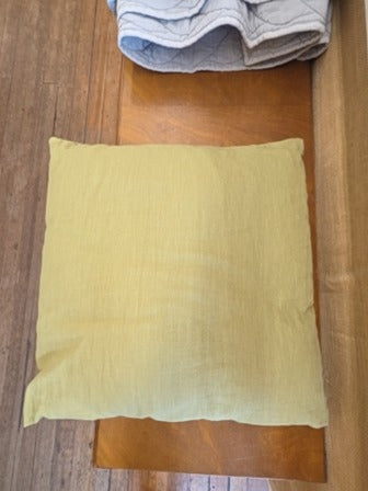Green  Throw Pillow