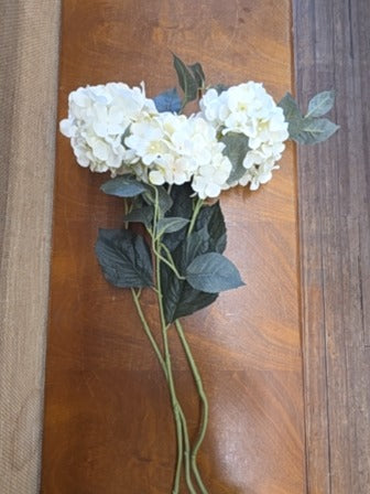 White  Floral