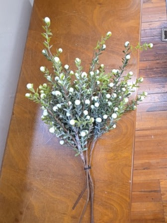 White  Holly Berry Stems