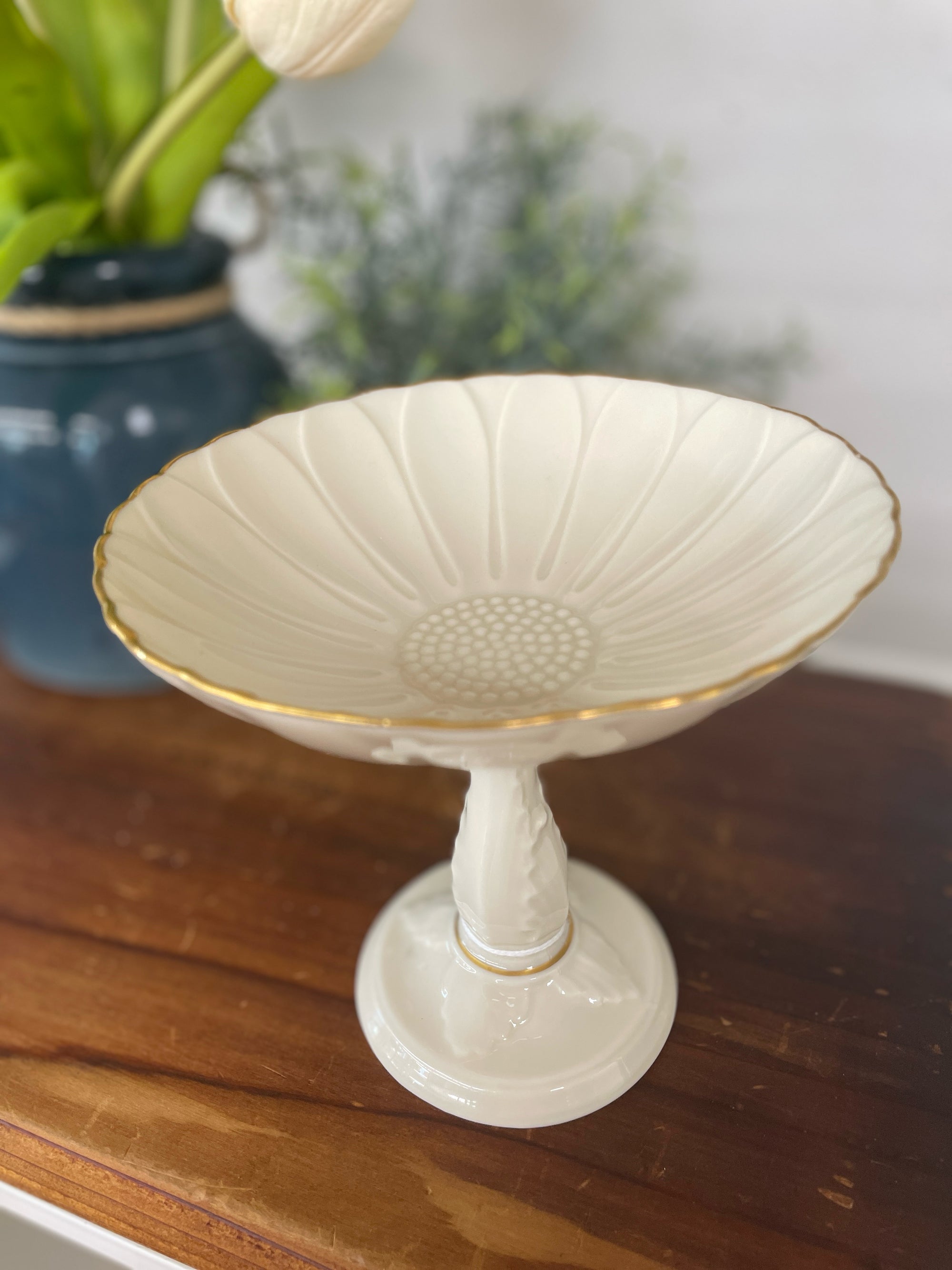 Dish