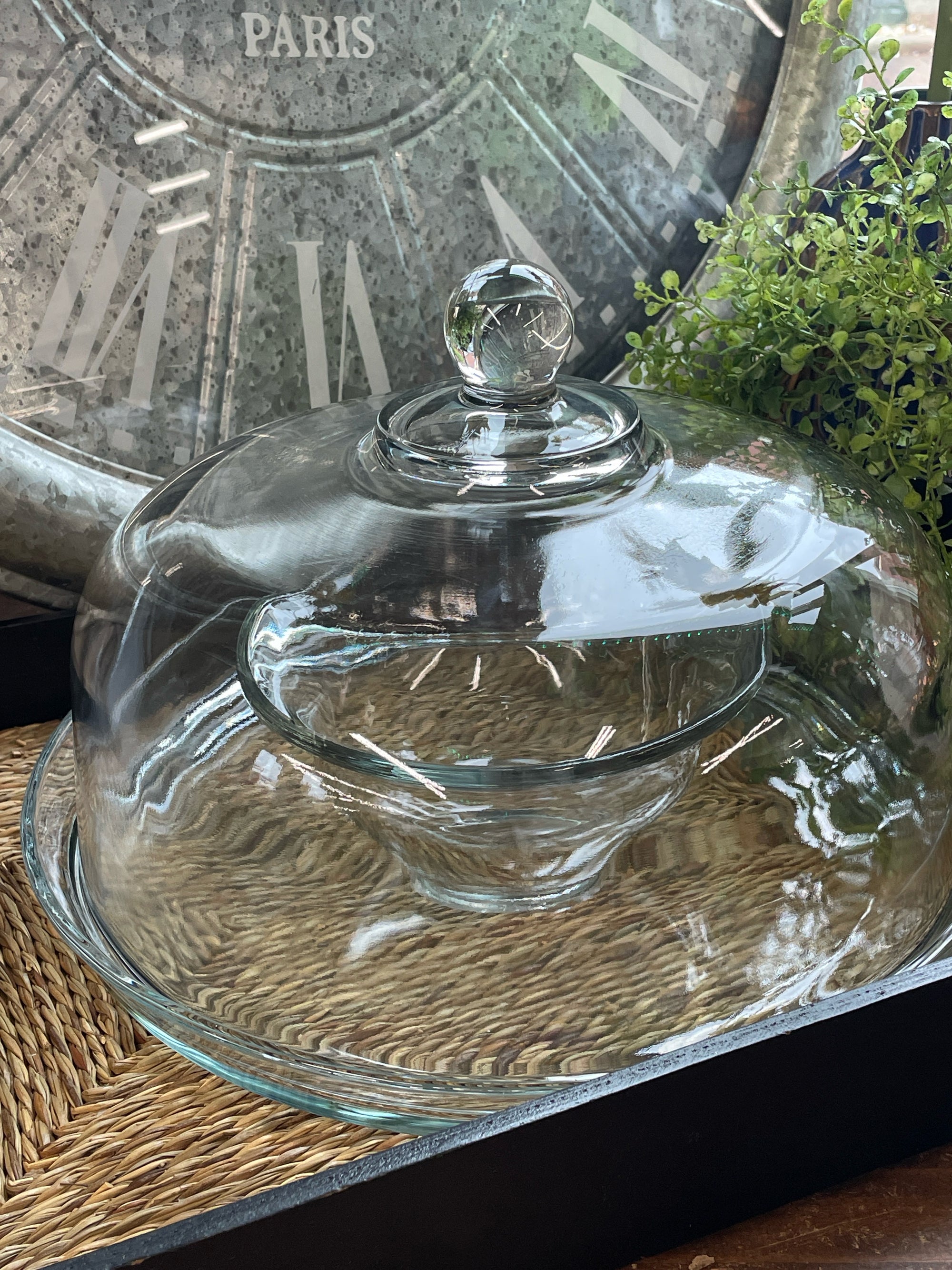 Cake Plate and Dome