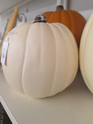 Cream  Pumpkin