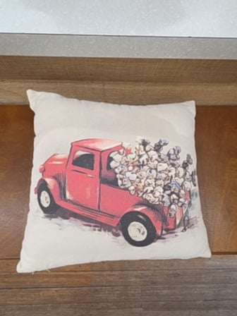 Throw Pillow