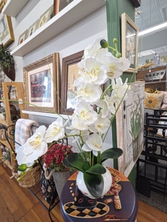 White  Floral