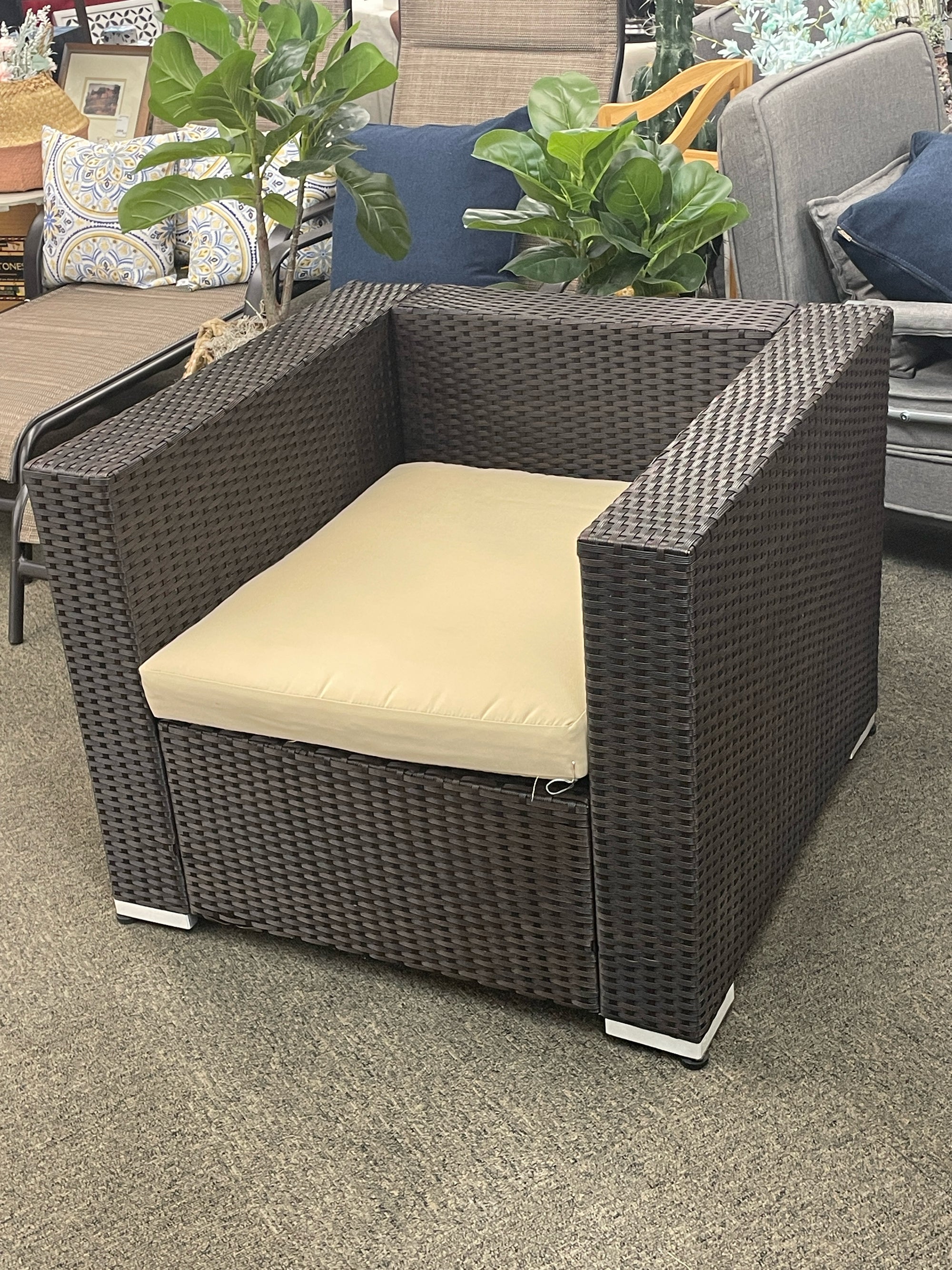 Chair with Cushion