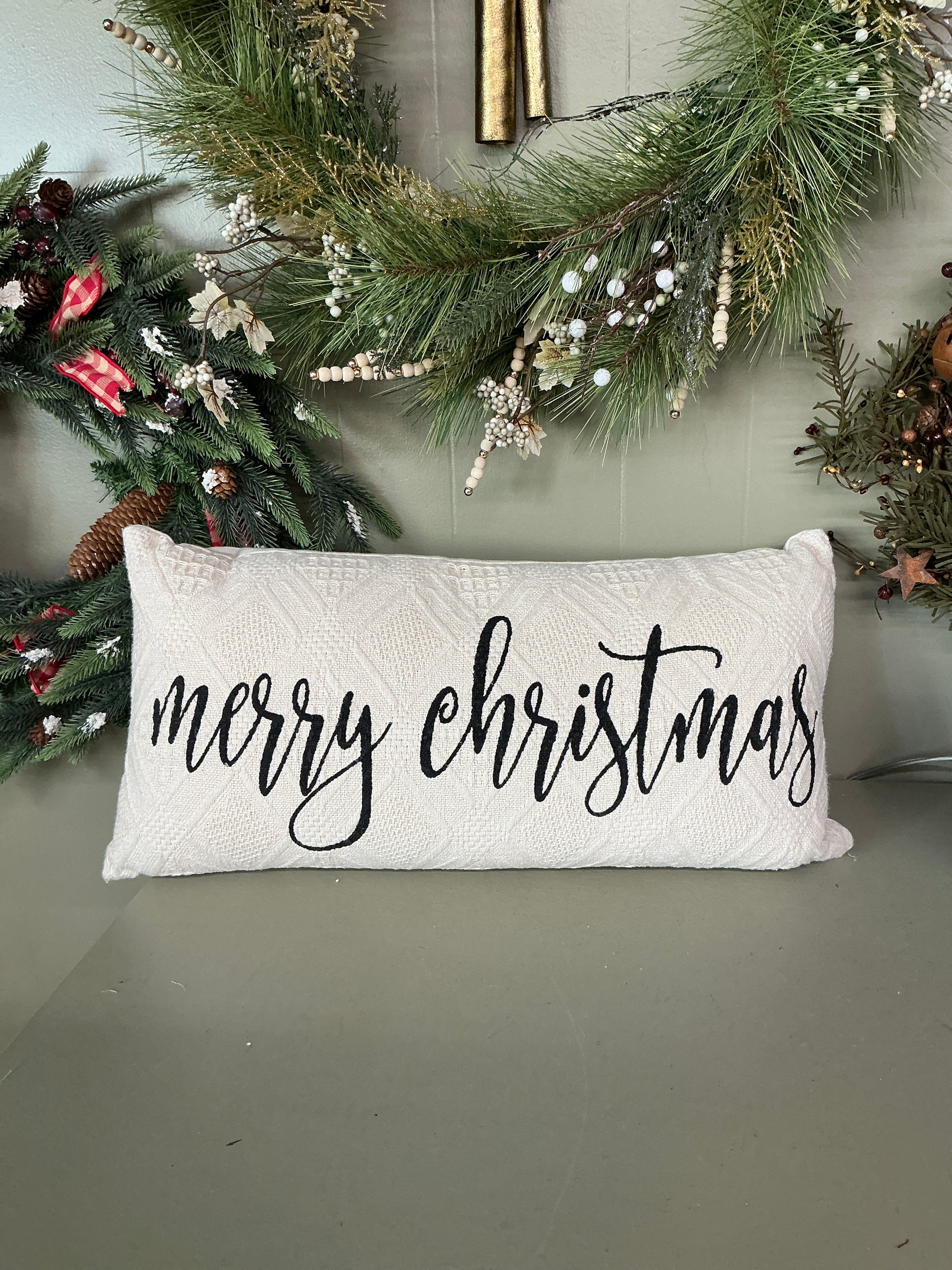 Throw Pillow
