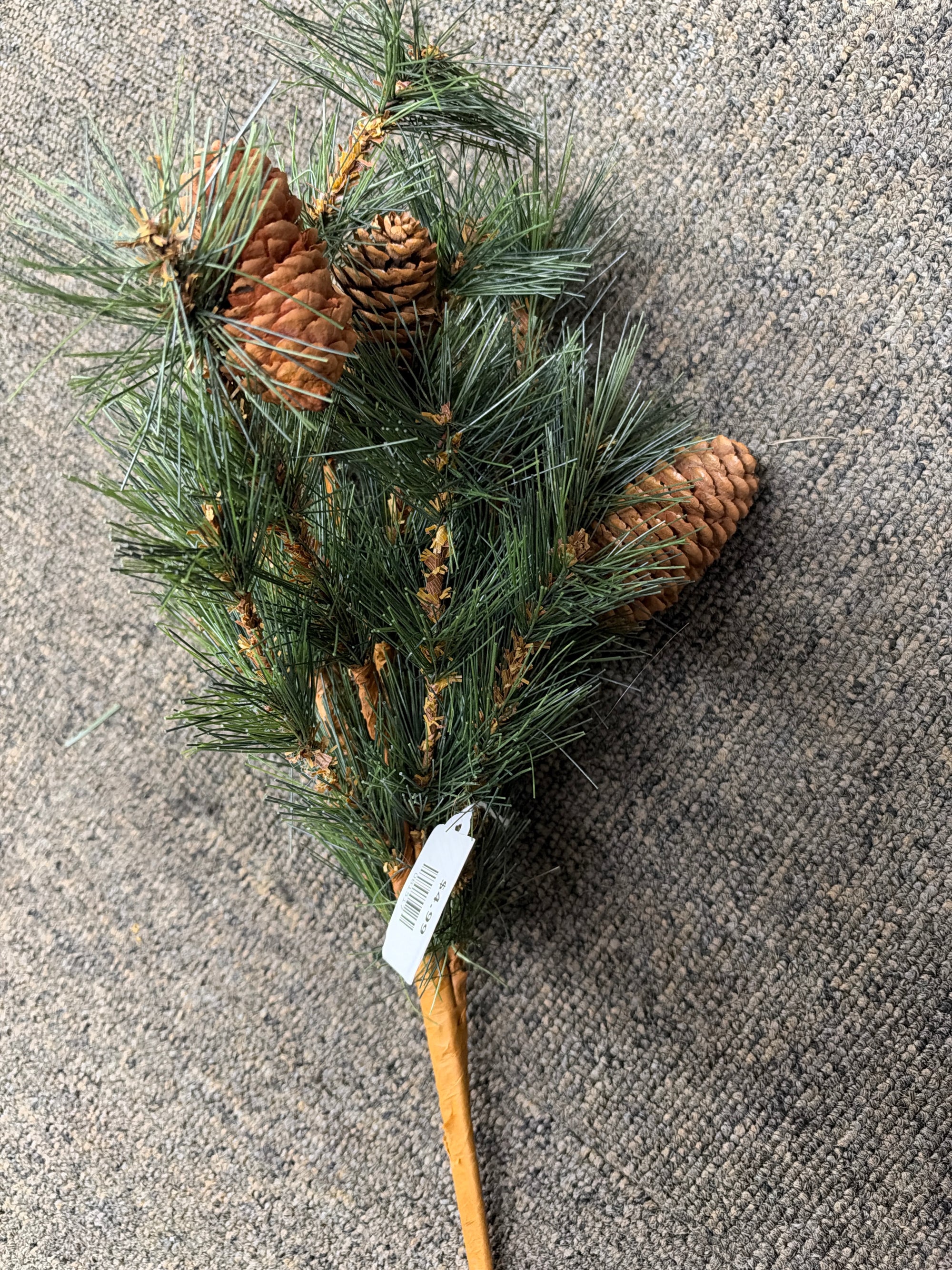 Floral Stem