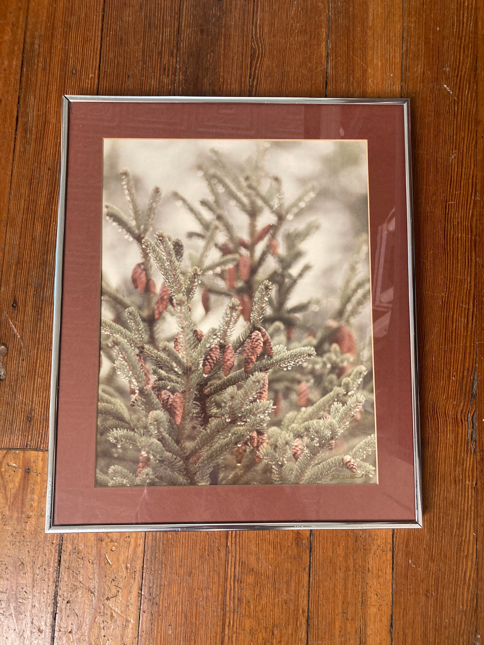 Framed Artwork