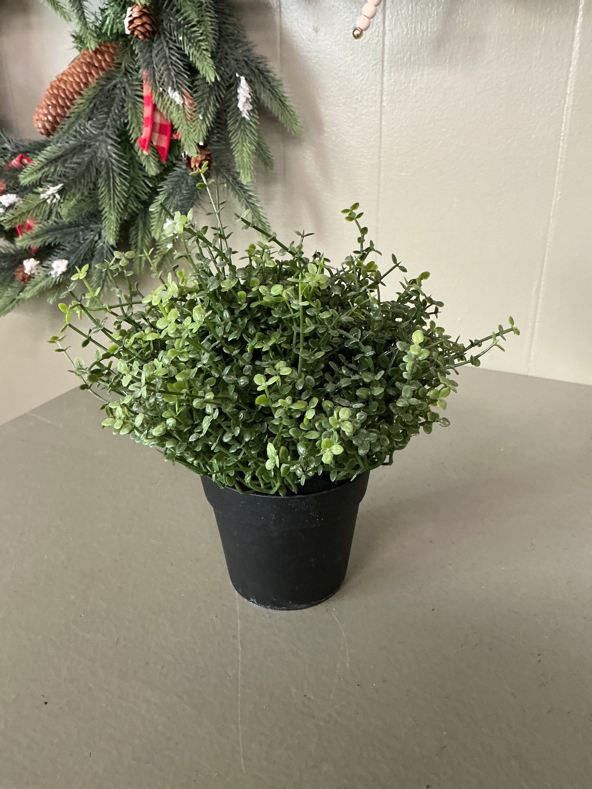 Faux Plant